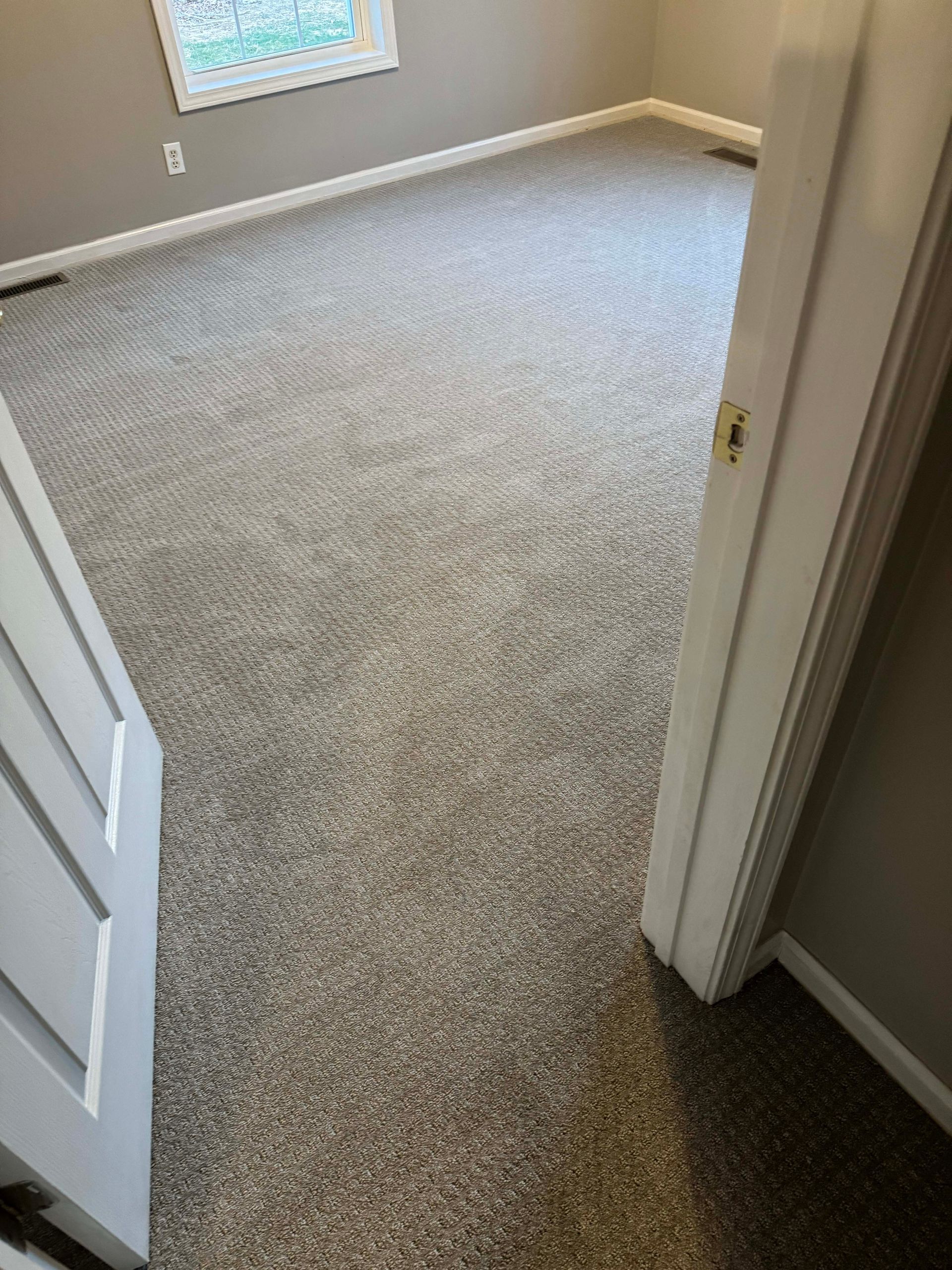 Gray carpeted bedroom with white trim and a partially visible white door.
