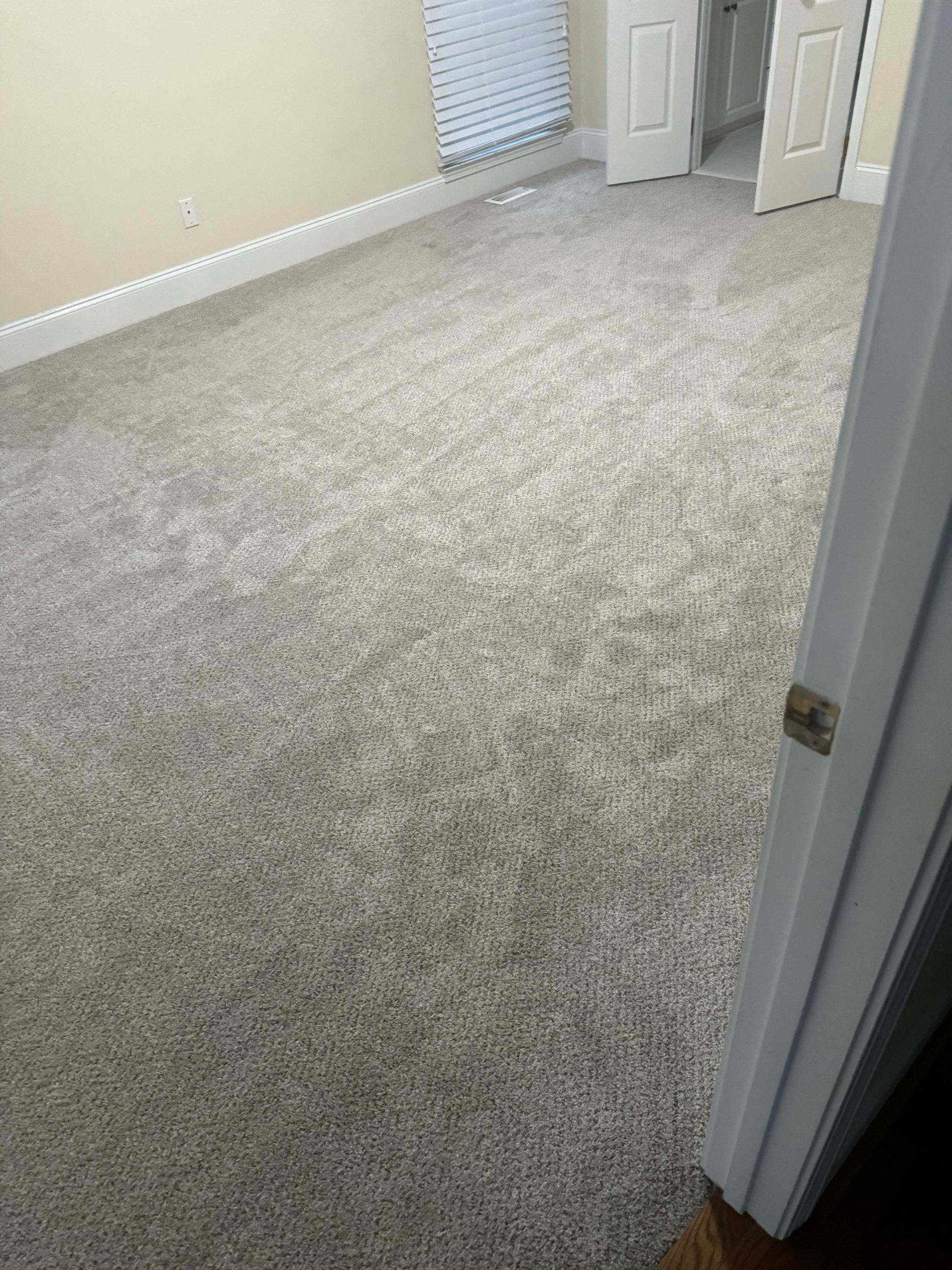 Gray carpeted room with white trim, doors, and a window with blinds.