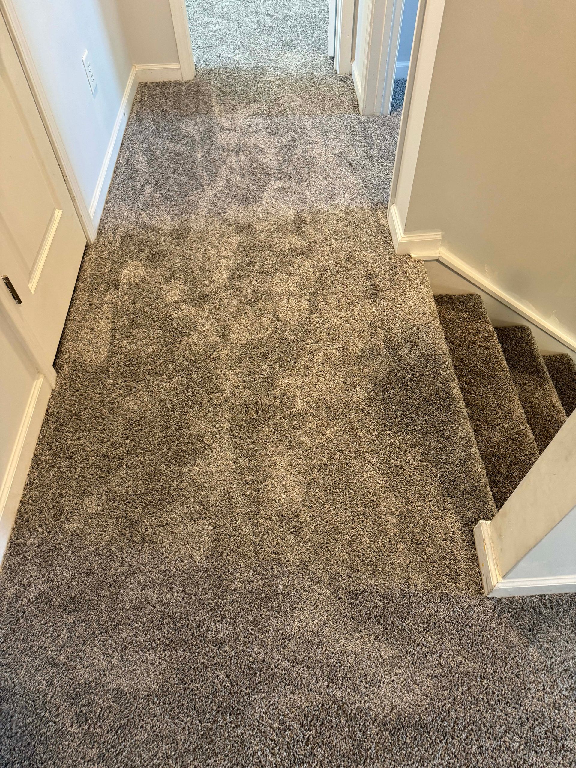Gray speckled carpeted hallway leading to a staircase, white doors and trim, neutral paint.