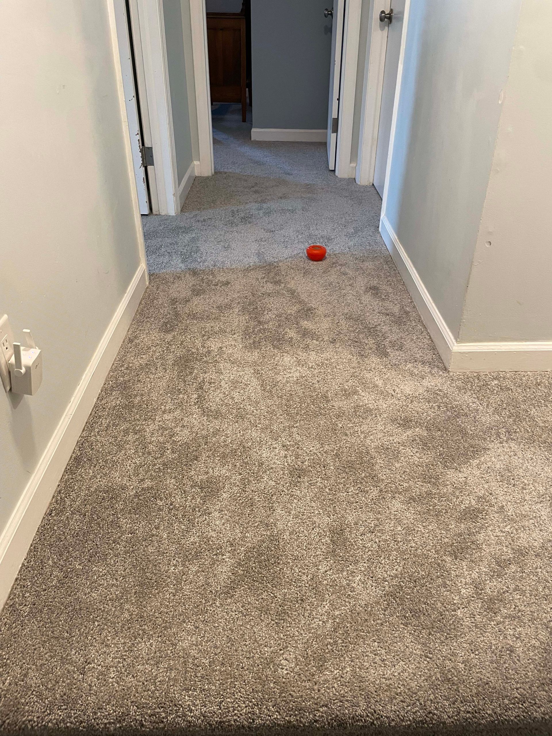 Hallway with gray carpet, white trim, and a red ball.