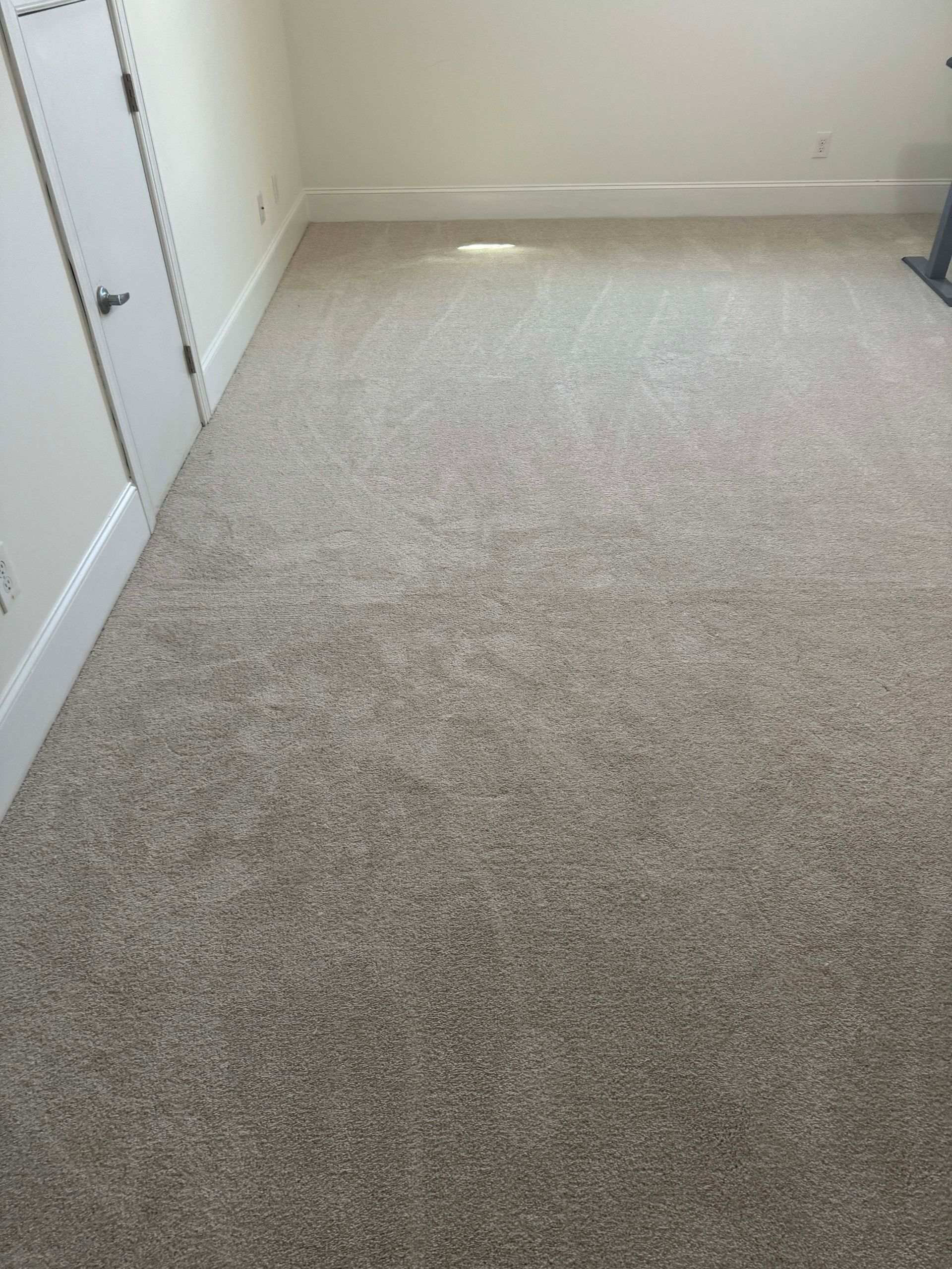 Beige carpeted room, white walls and trim, partially visible white door.