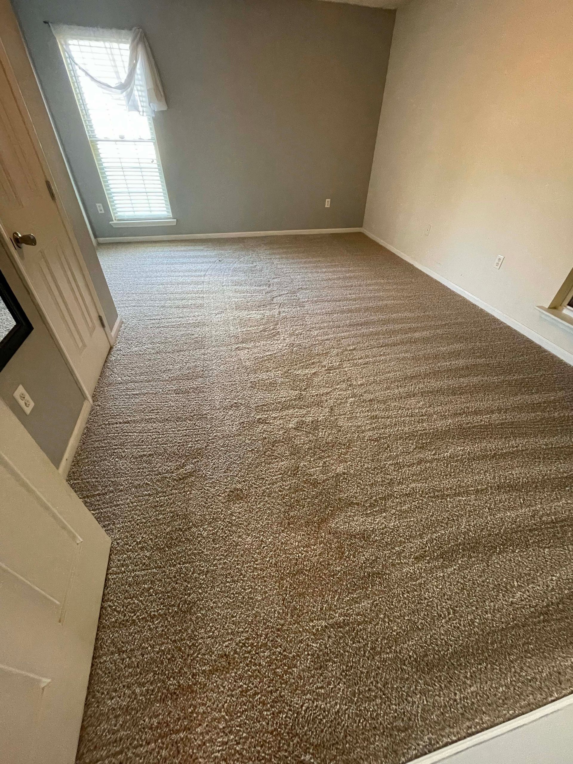 Empty room with brown carpet, gray walls, and a window with blinds.