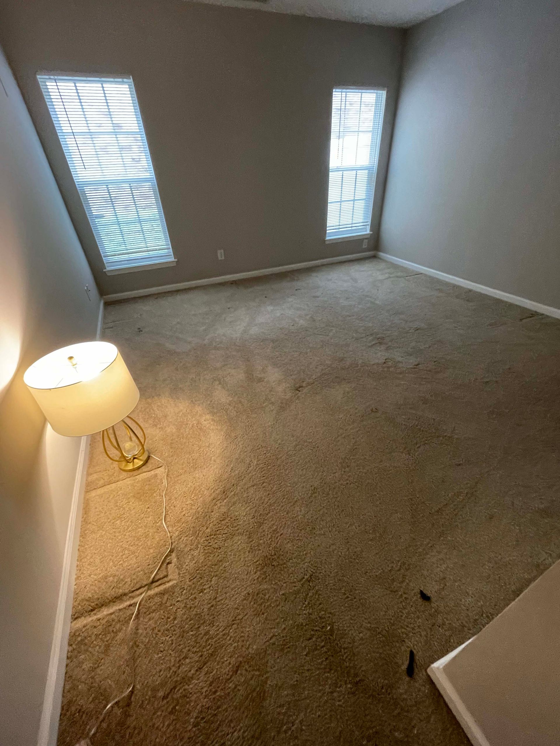 Empty room with brown carpet, two windows with blinds, and a lamp. Beige walls.