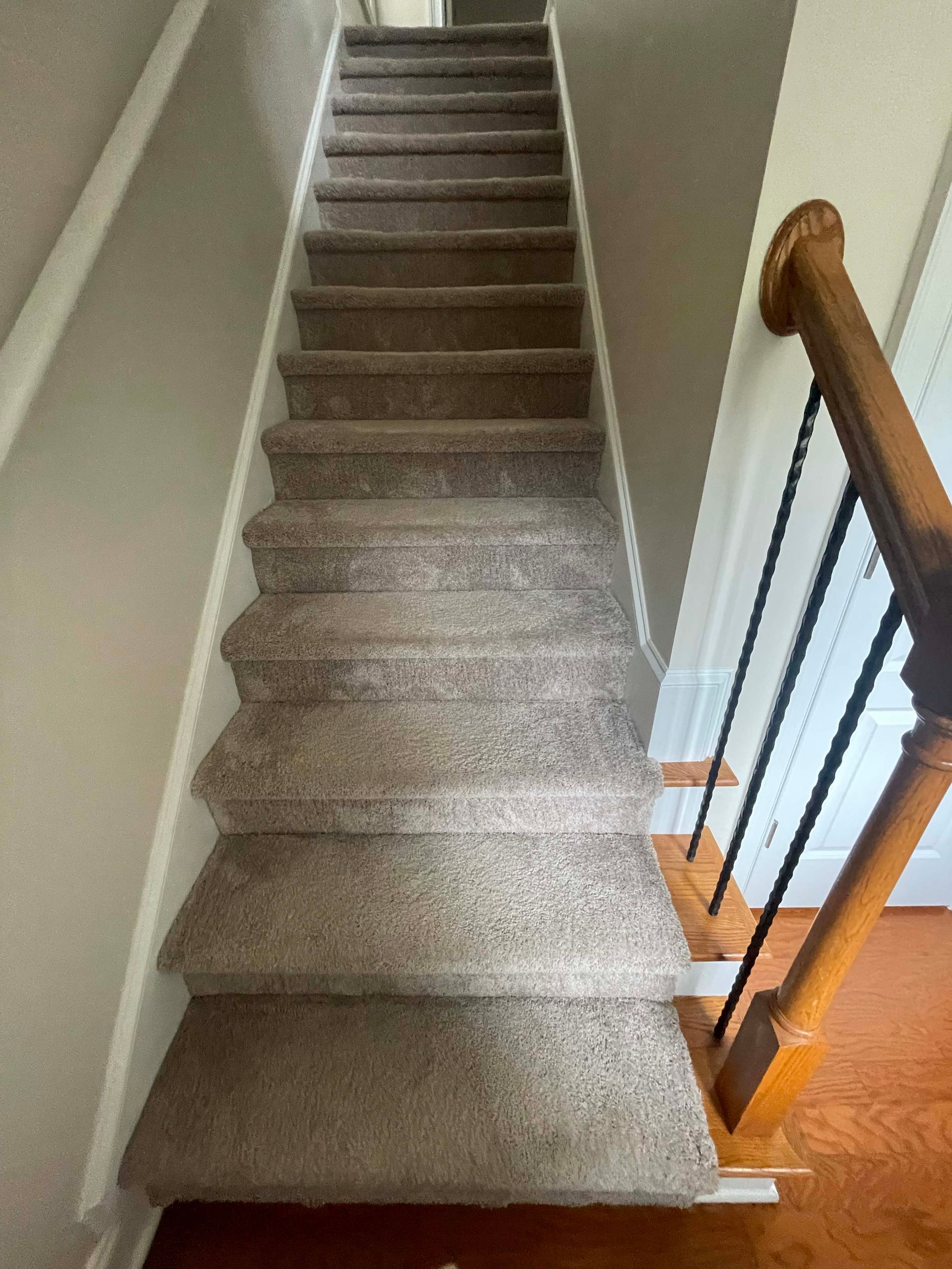 Carpeted staircase with wooden handrail and black metal spindles.