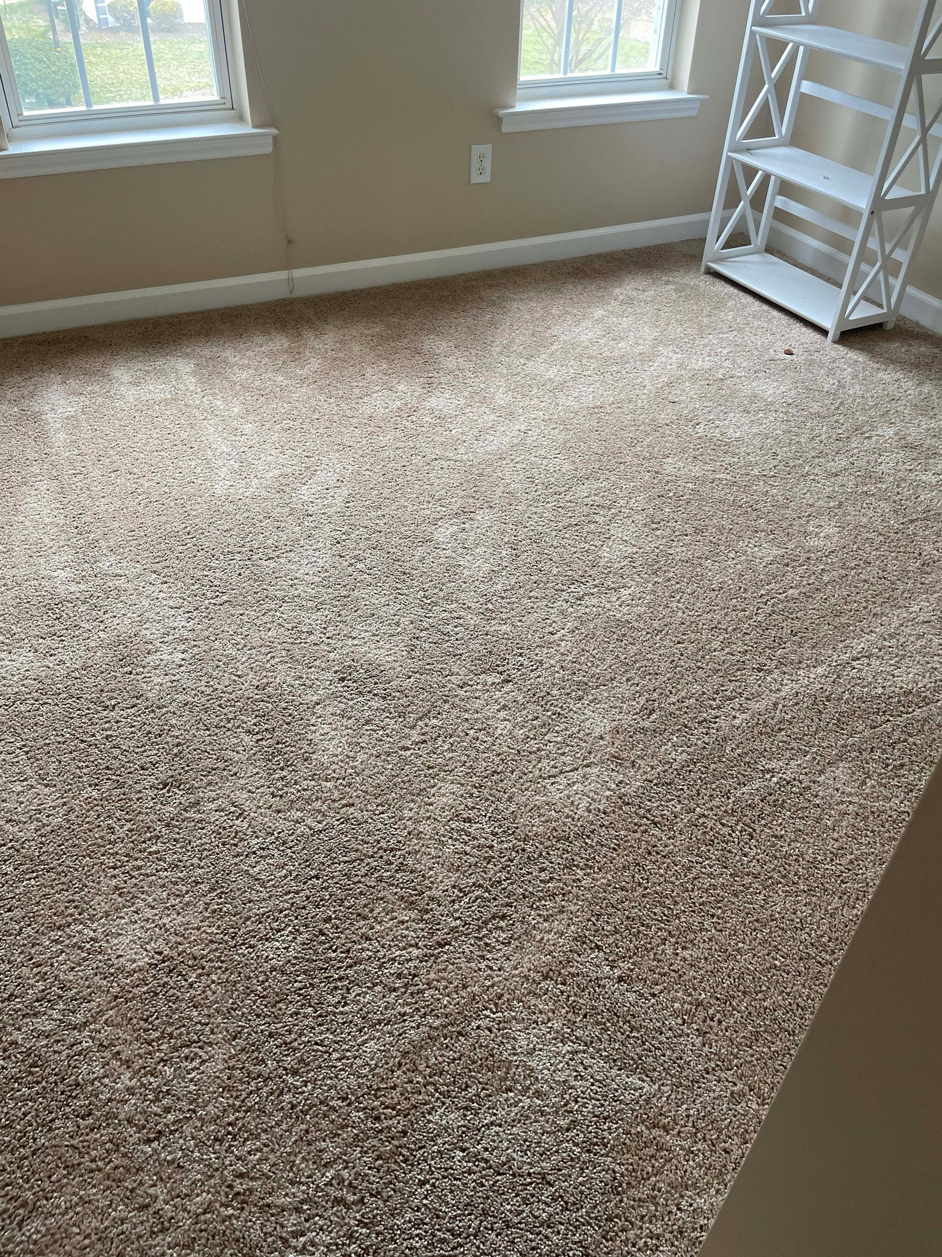 Room with beige carpet, white trim and shelving, and two windows.