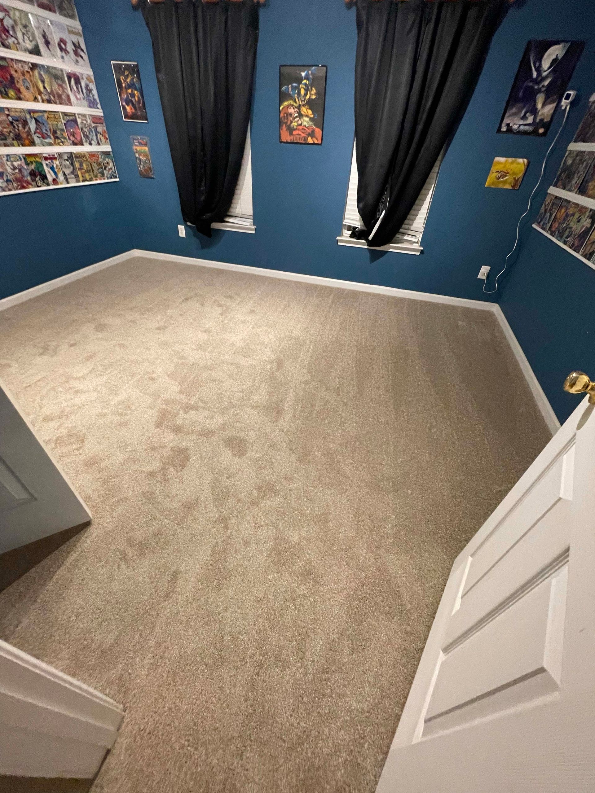 Empty room with blue walls, carpet, two windows with black curtains, and framed artwork.
