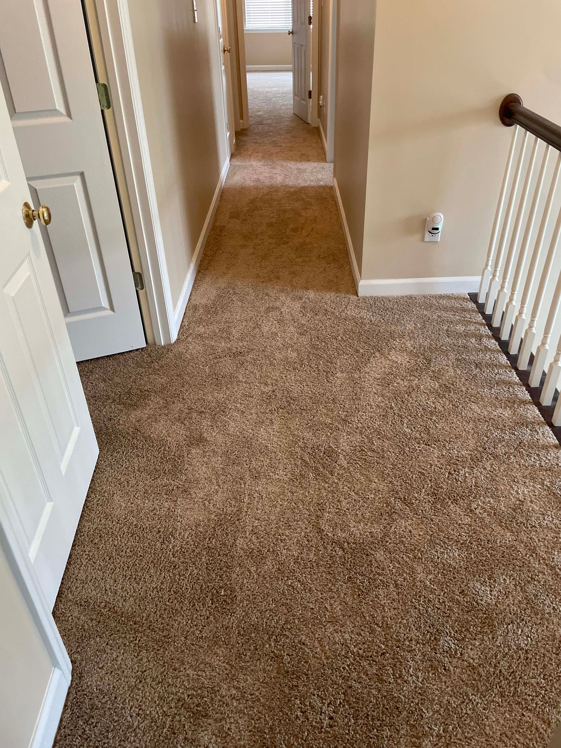 Hallway with brown carpet, white doors, and a staircase railing on the right.