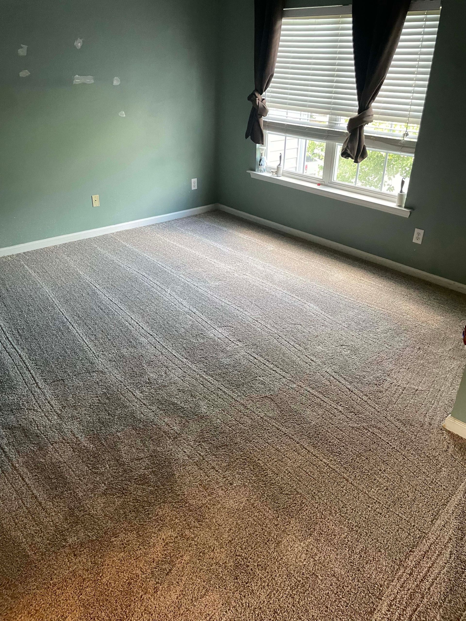 Empty room with textured gray and tan carpet, green walls, a window with blinds and dark curtains.