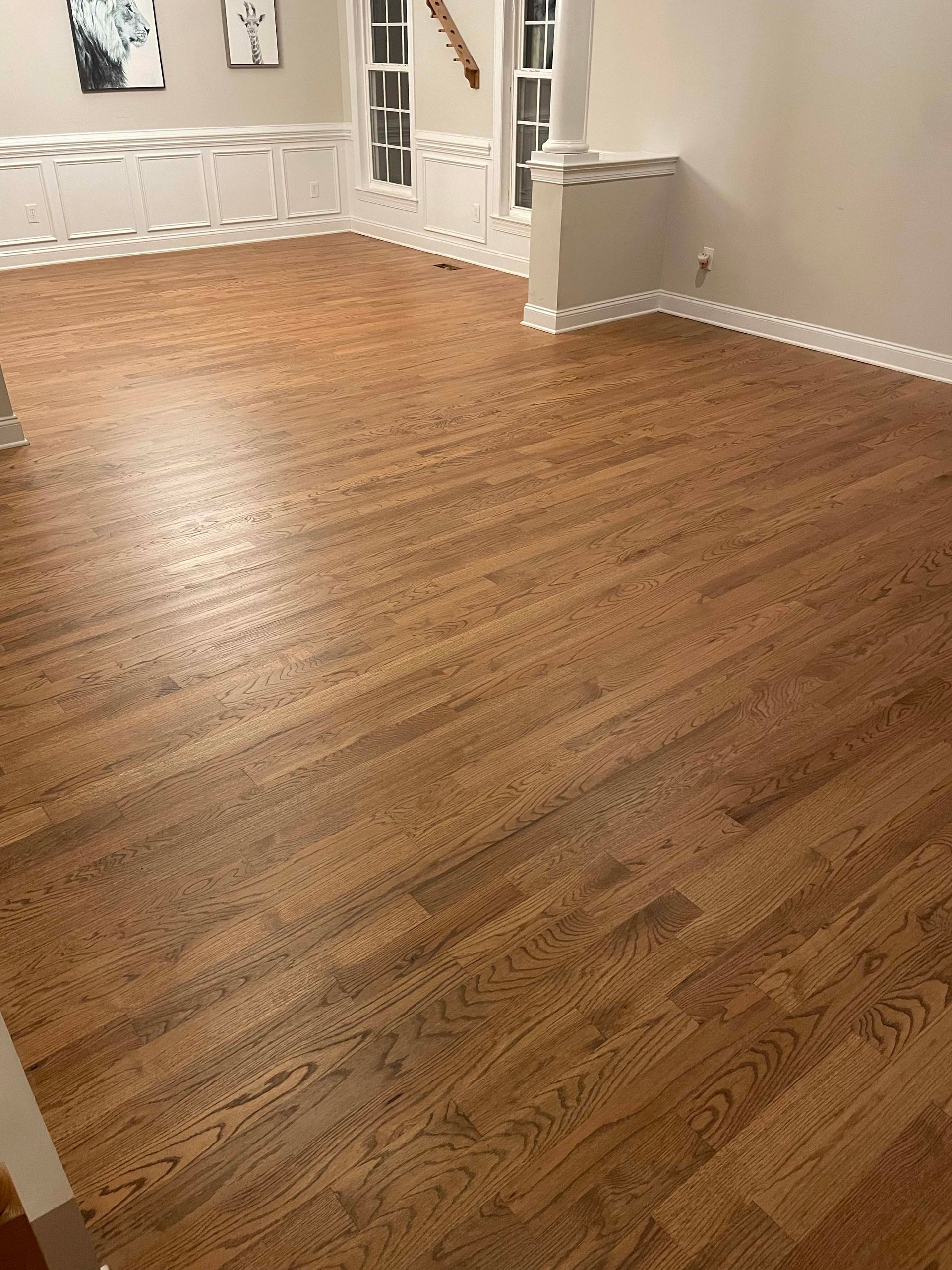Hardwood floor in a living room, bathed in warm light, near a window and decorative molding.