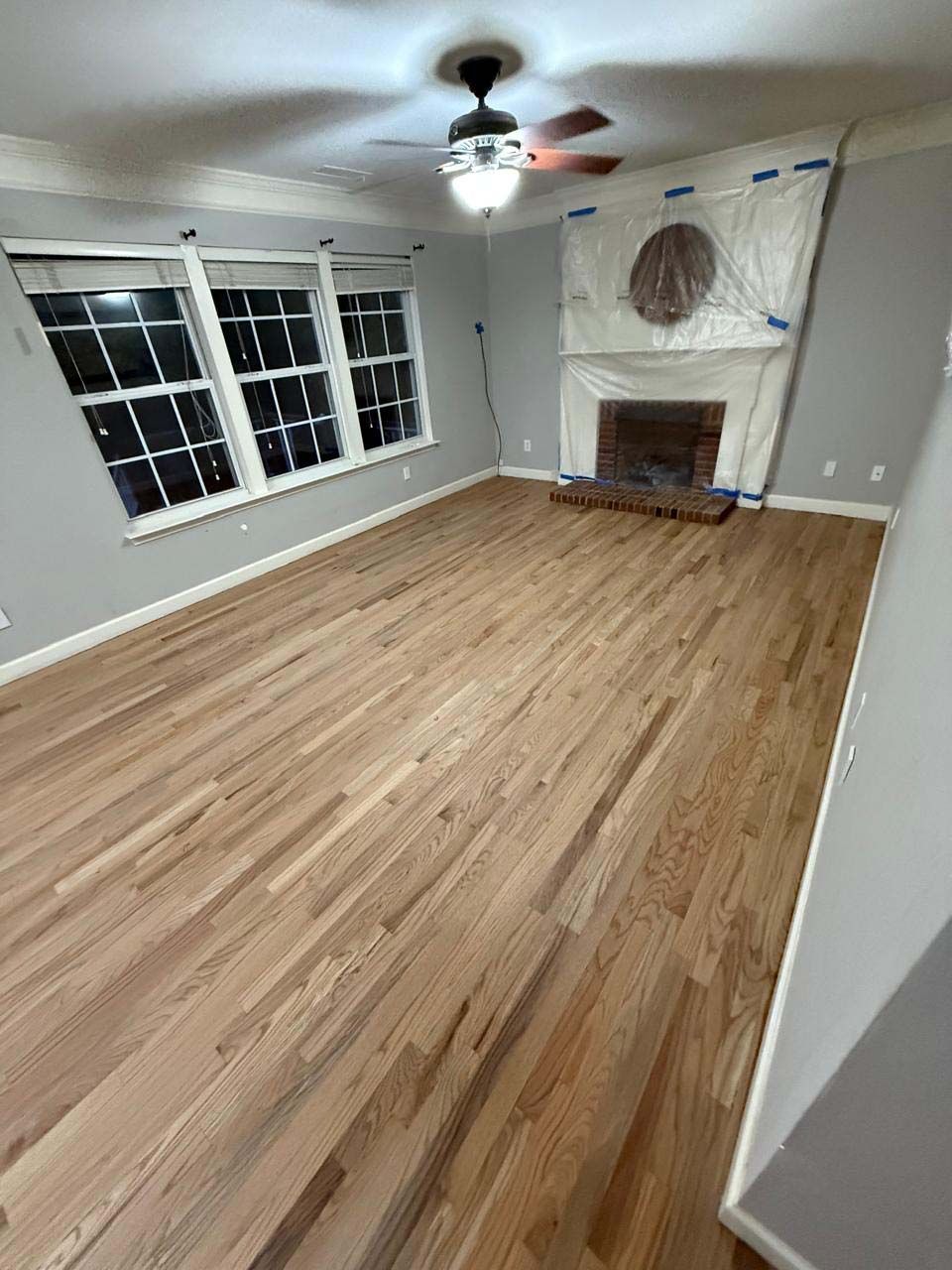 Living room with newly refinished wood floors, gray walls, a fireplace, and a ceiling fan.