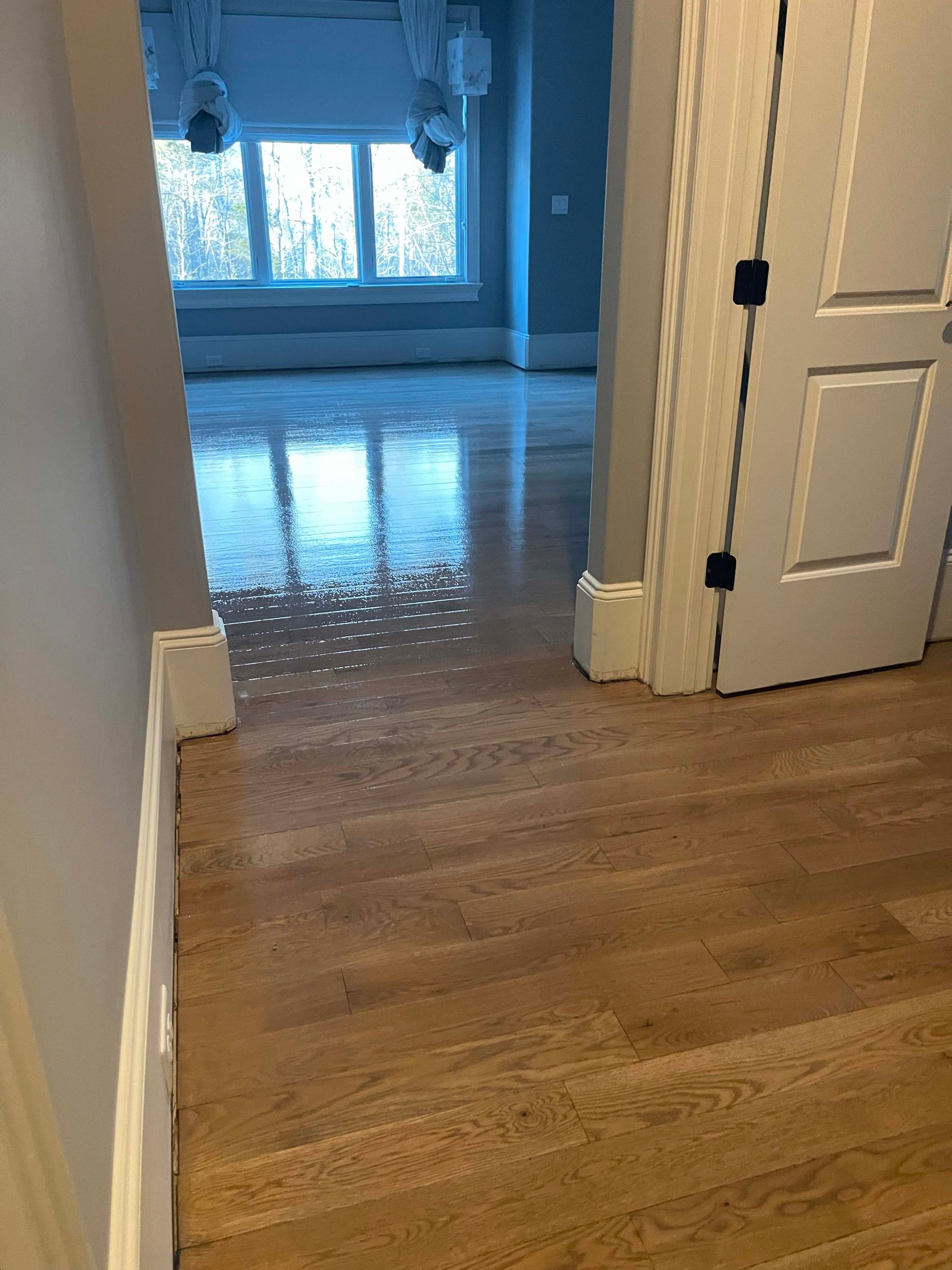 Wooden floor leads into a room with large window. Light reflects off the floor.