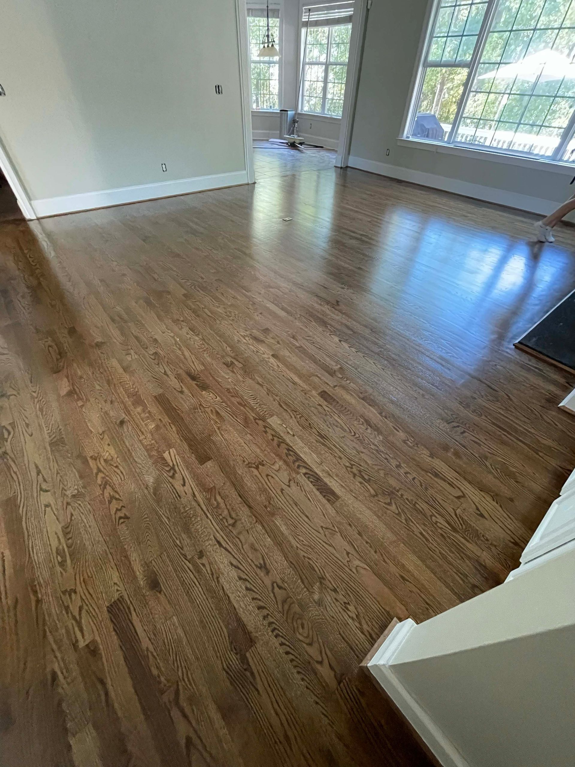 Polished wooden floor in a room, reflecting light. The walls are neutral, with windows in the background.