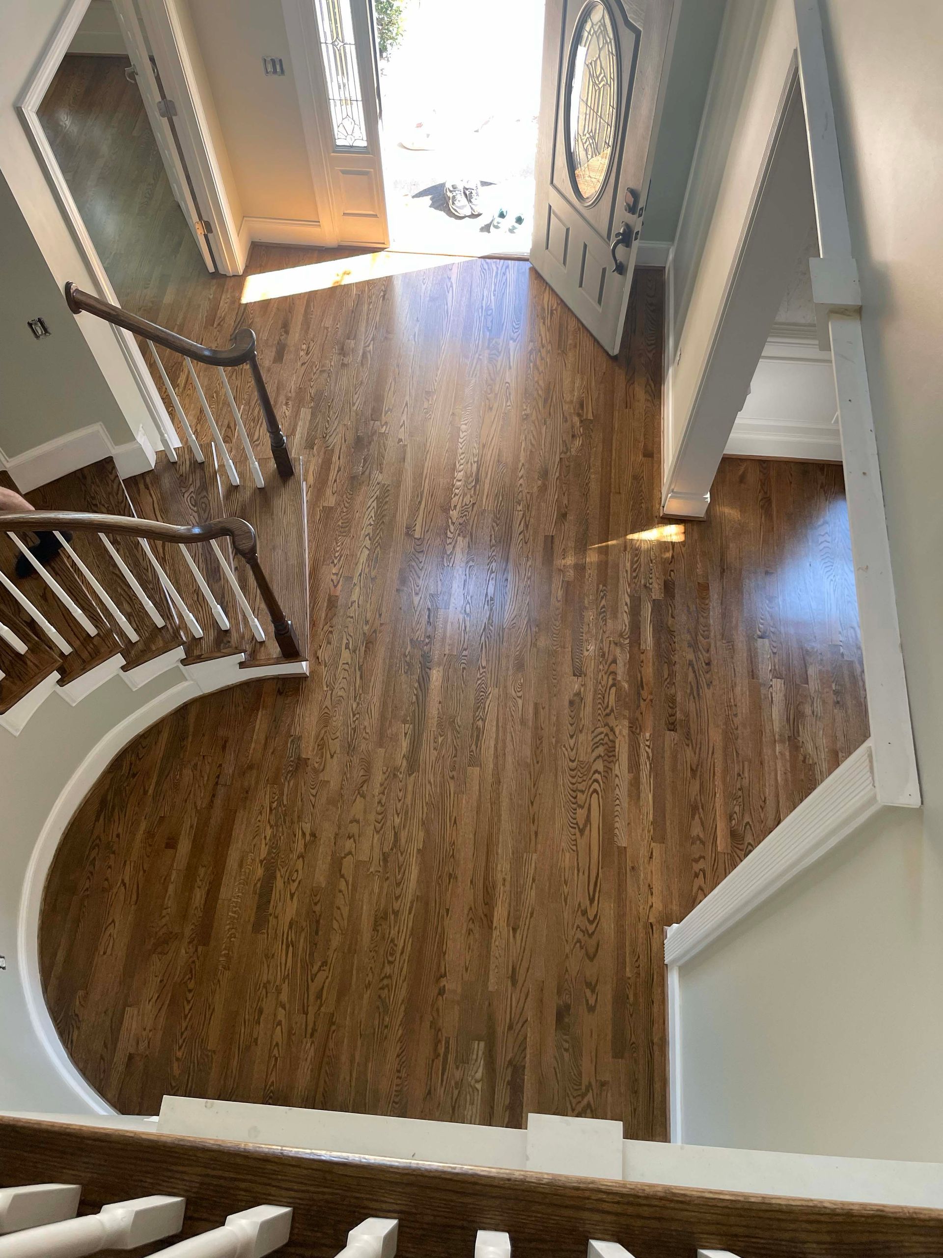Hardwood floor in foyer with a curved staircase and open front door.