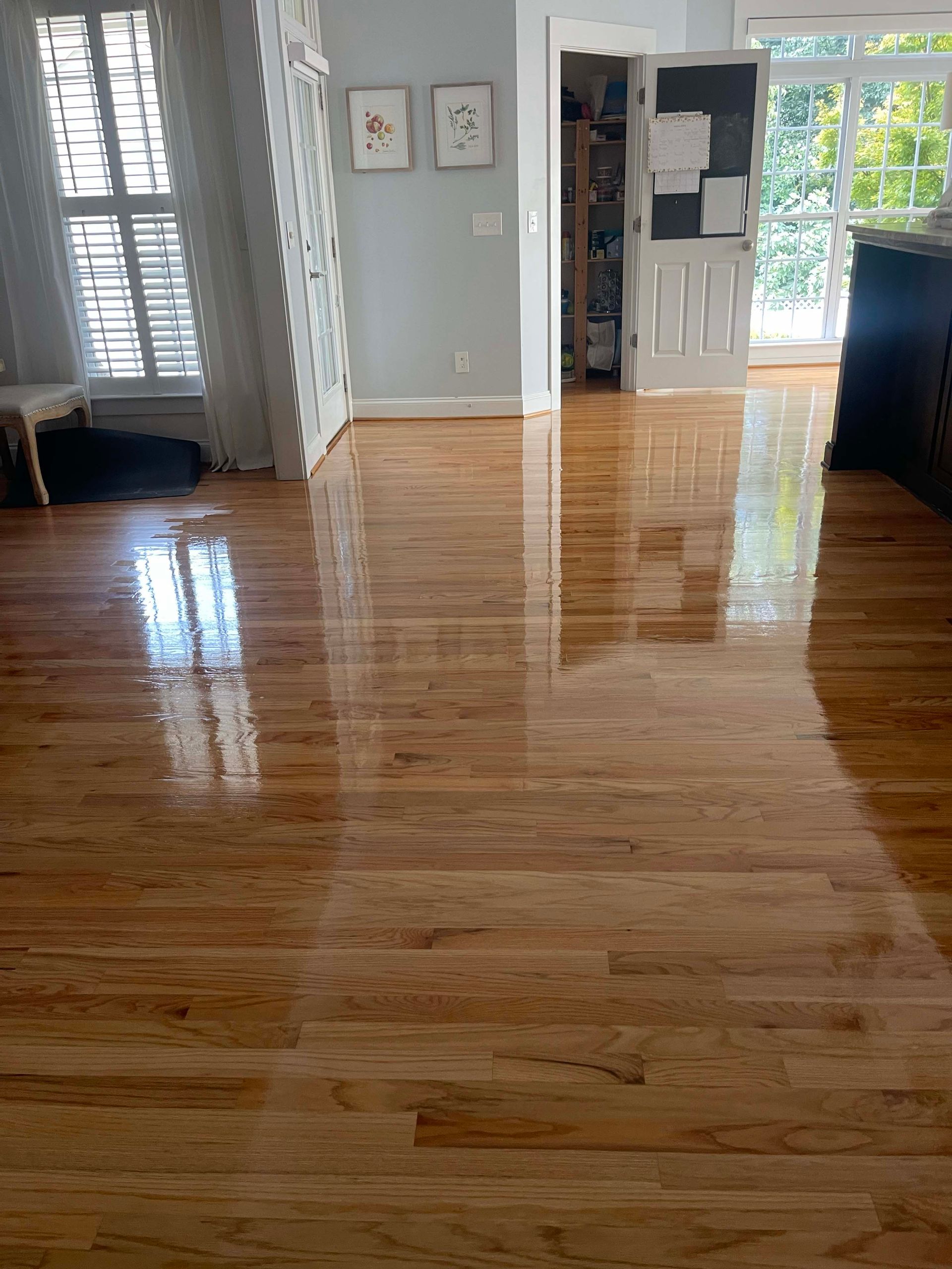 Shiny, light-colored hardwood floor in a room. Reflections of windows, doors, and furniture are visible.
