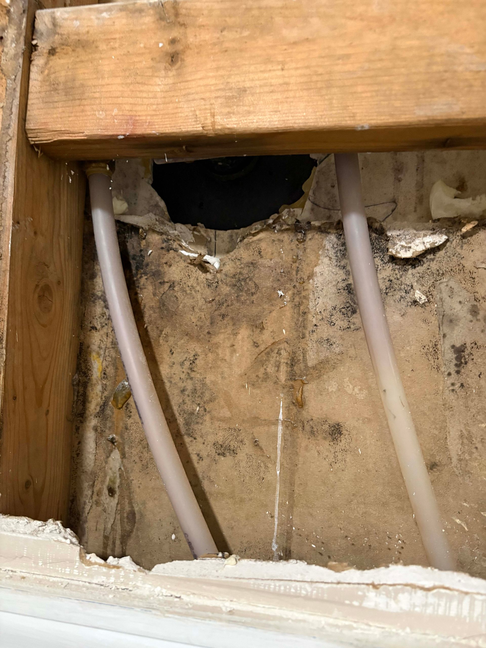 Pipes and damaged wall show mold, hole, and wood beams. White pipes curve through the crumbling plaster and dark discoloration.