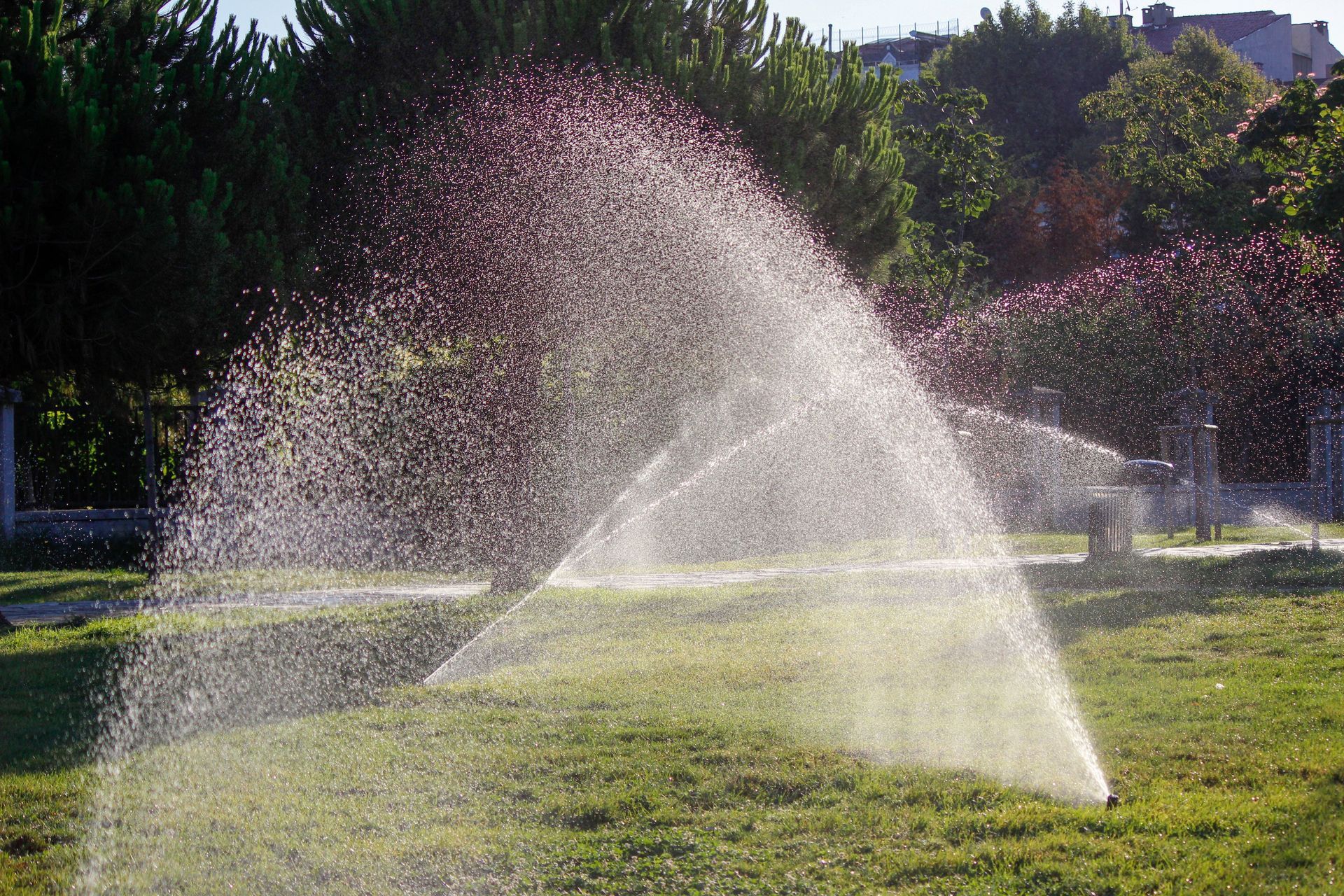 Lawn sprinkler spraying water in a sunny park, with a rainbow in the mist