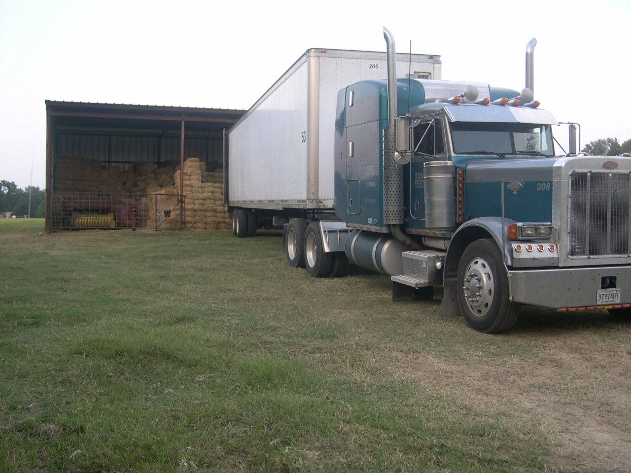 Blue semi-truck parked beside a weathered shed on a grassy field under an overcast sky