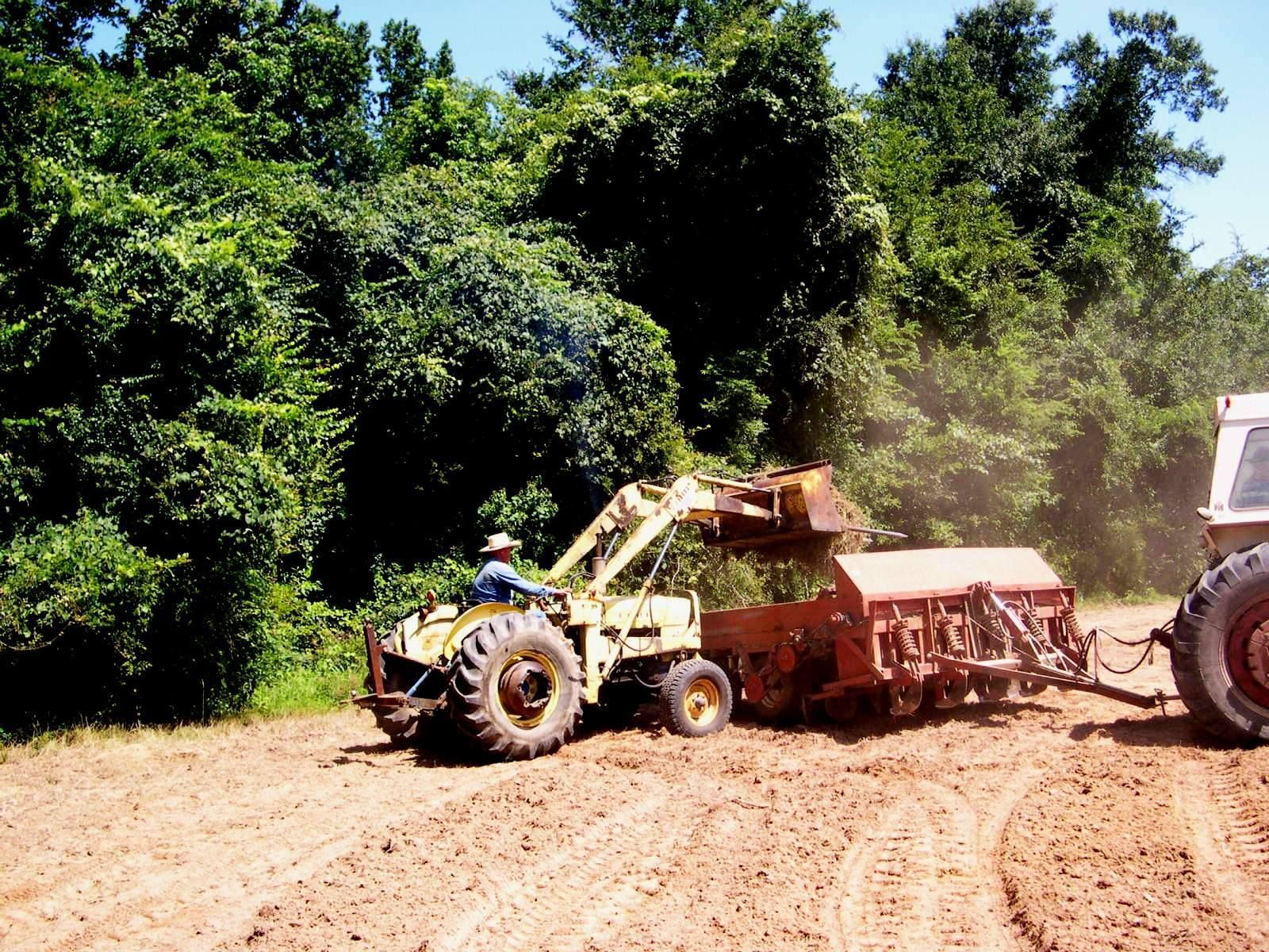Tractor hauling a loaded trailer on a dirt road beside dense green trees