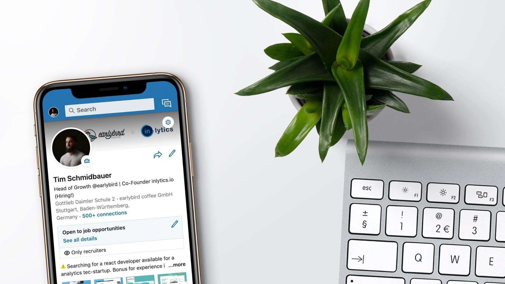 Your Essential LinkedIn Guide for Job Seekers