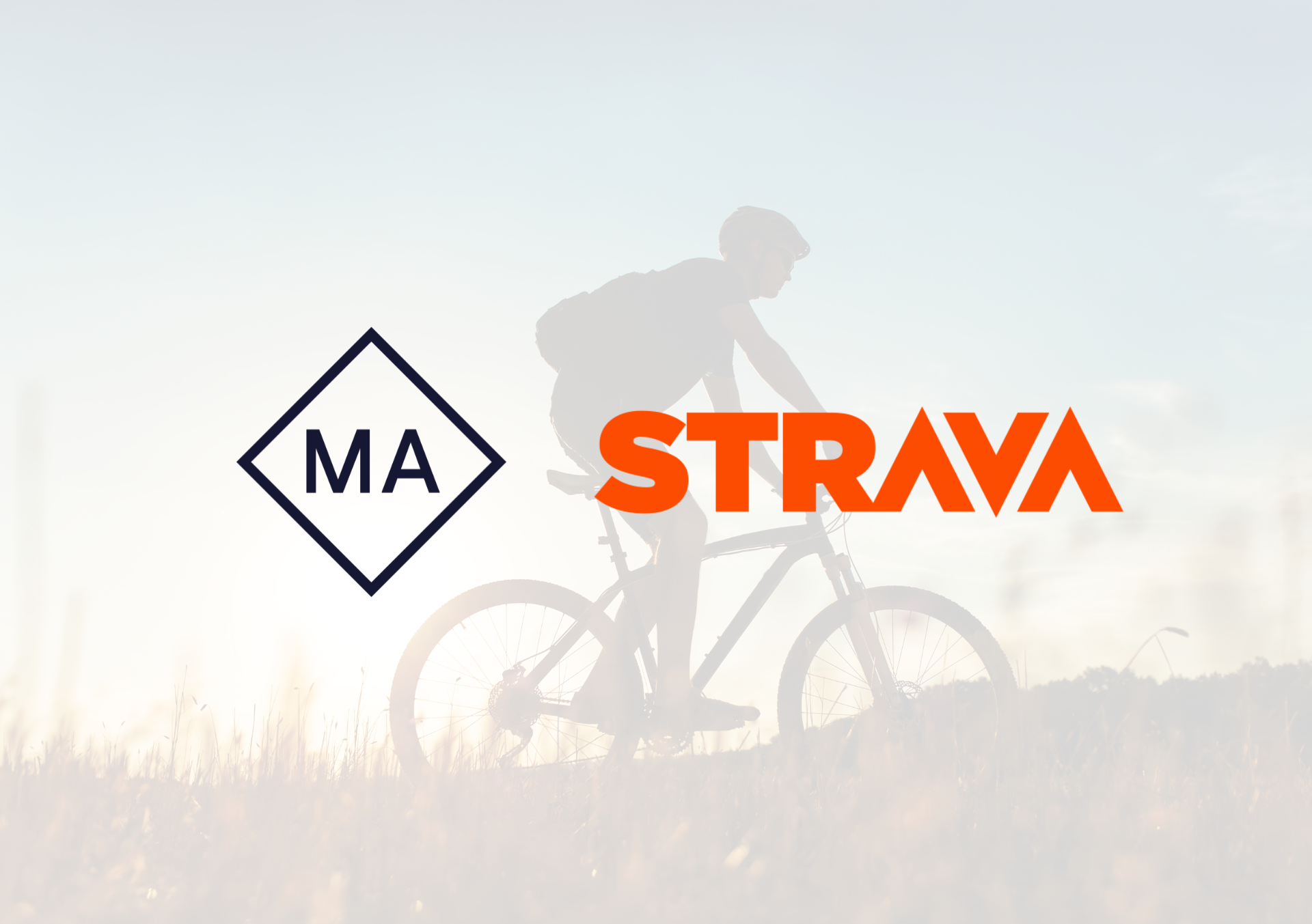 Senior-Revenue-Director-Executive-Search-Mason-Alexander