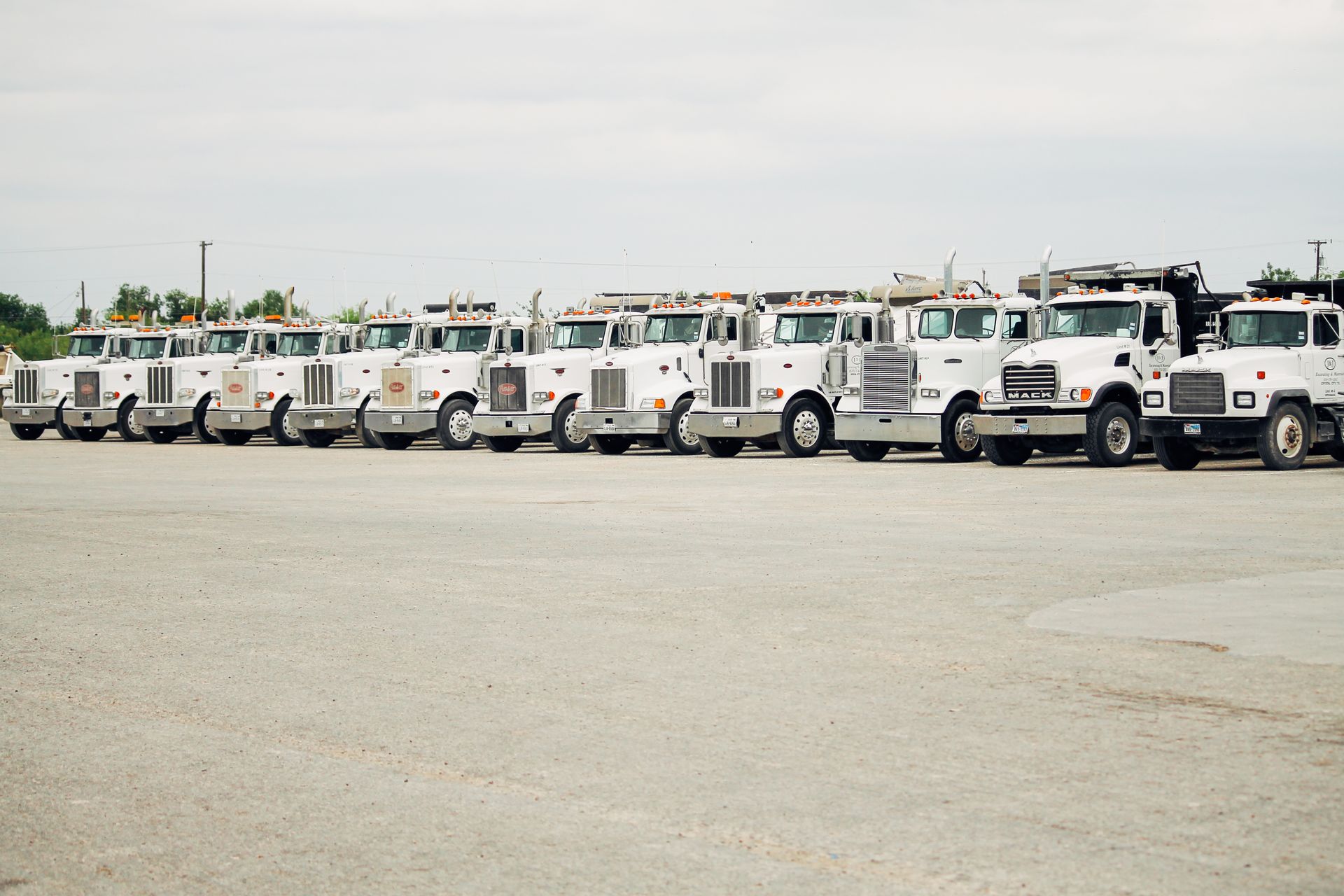 A row of white trucks are parked in a parking lot.