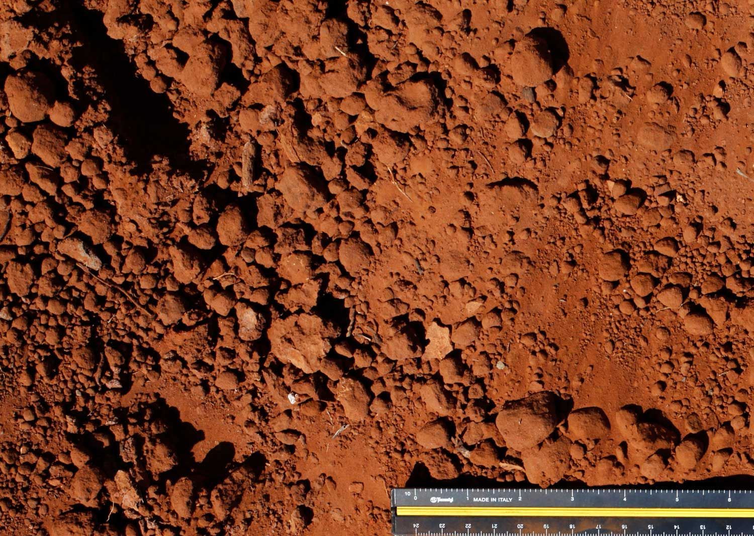 A ruler is next to a pile of dirt