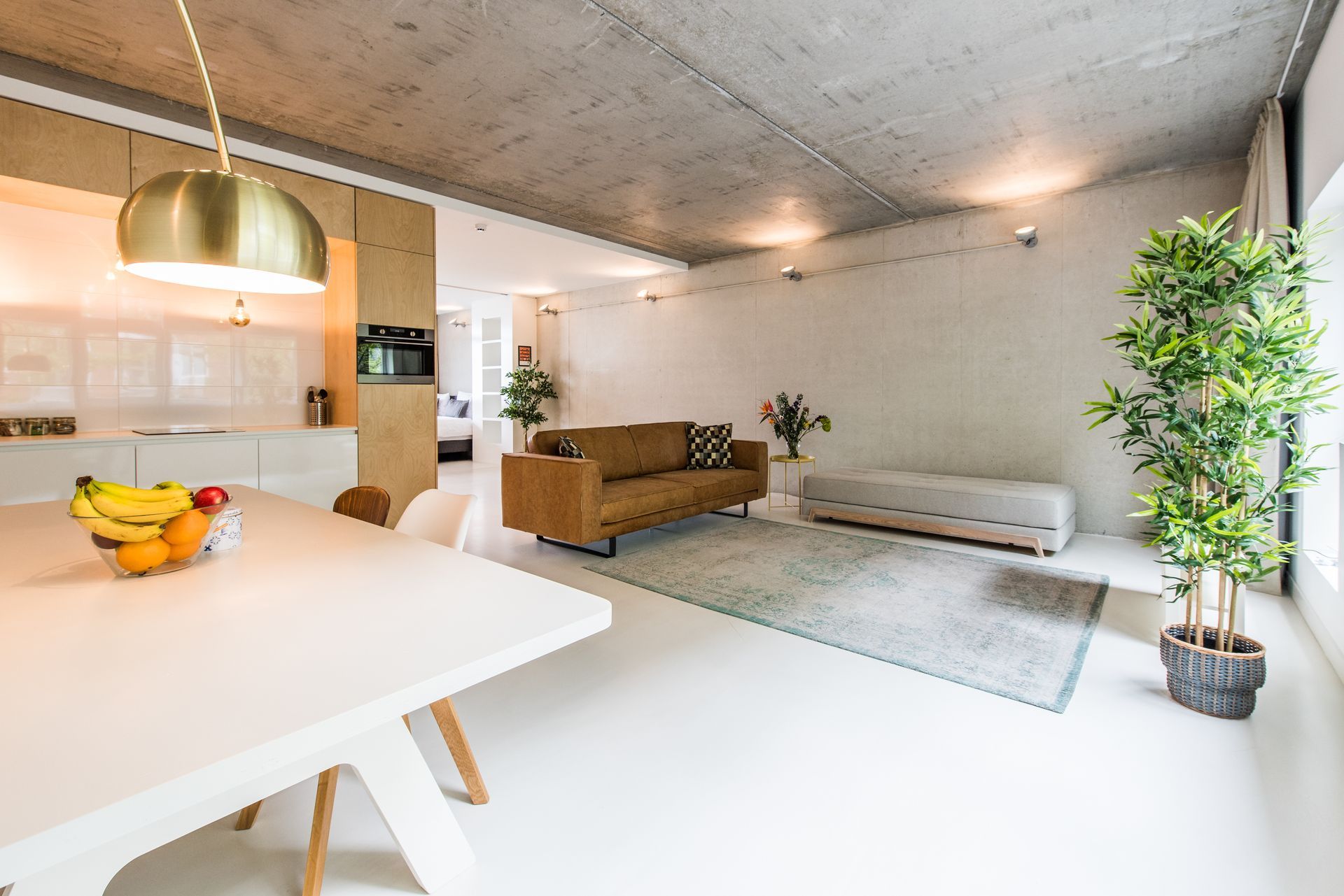 Moderne woonkamer met witte vloer, beige leren bank en grote potplant.