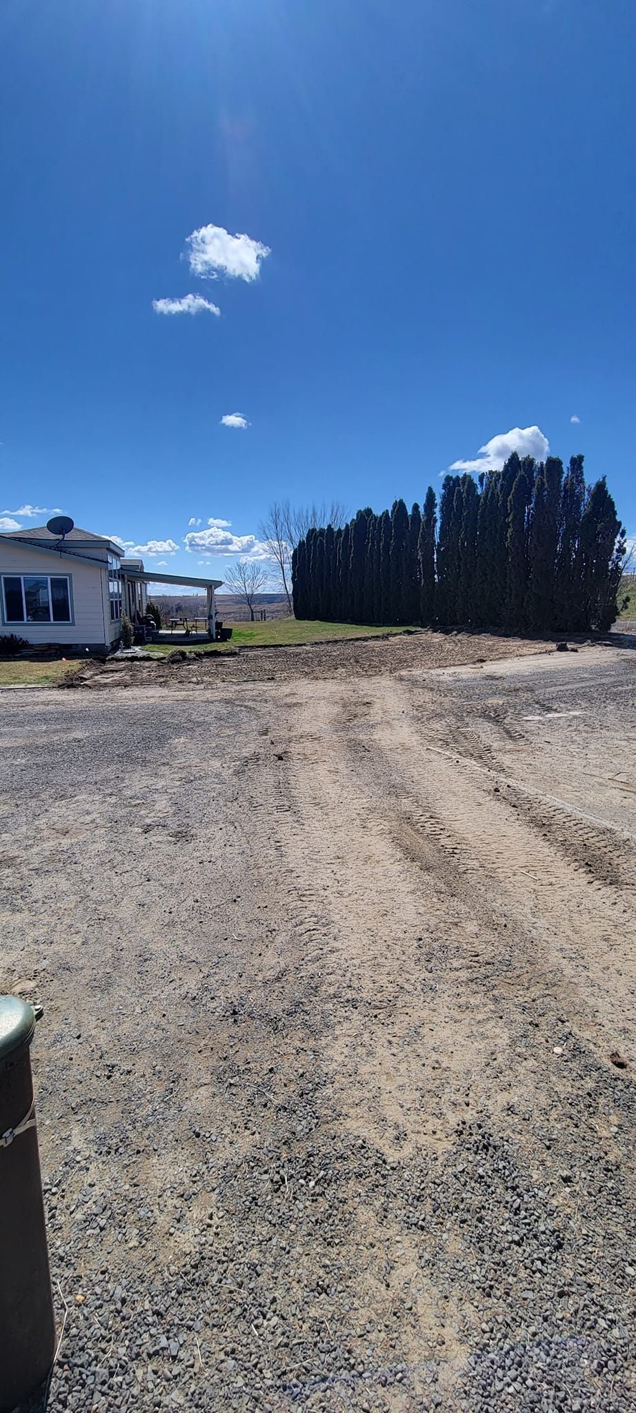Gravel driveway leading to a house and a large tree formation under a blue sky.