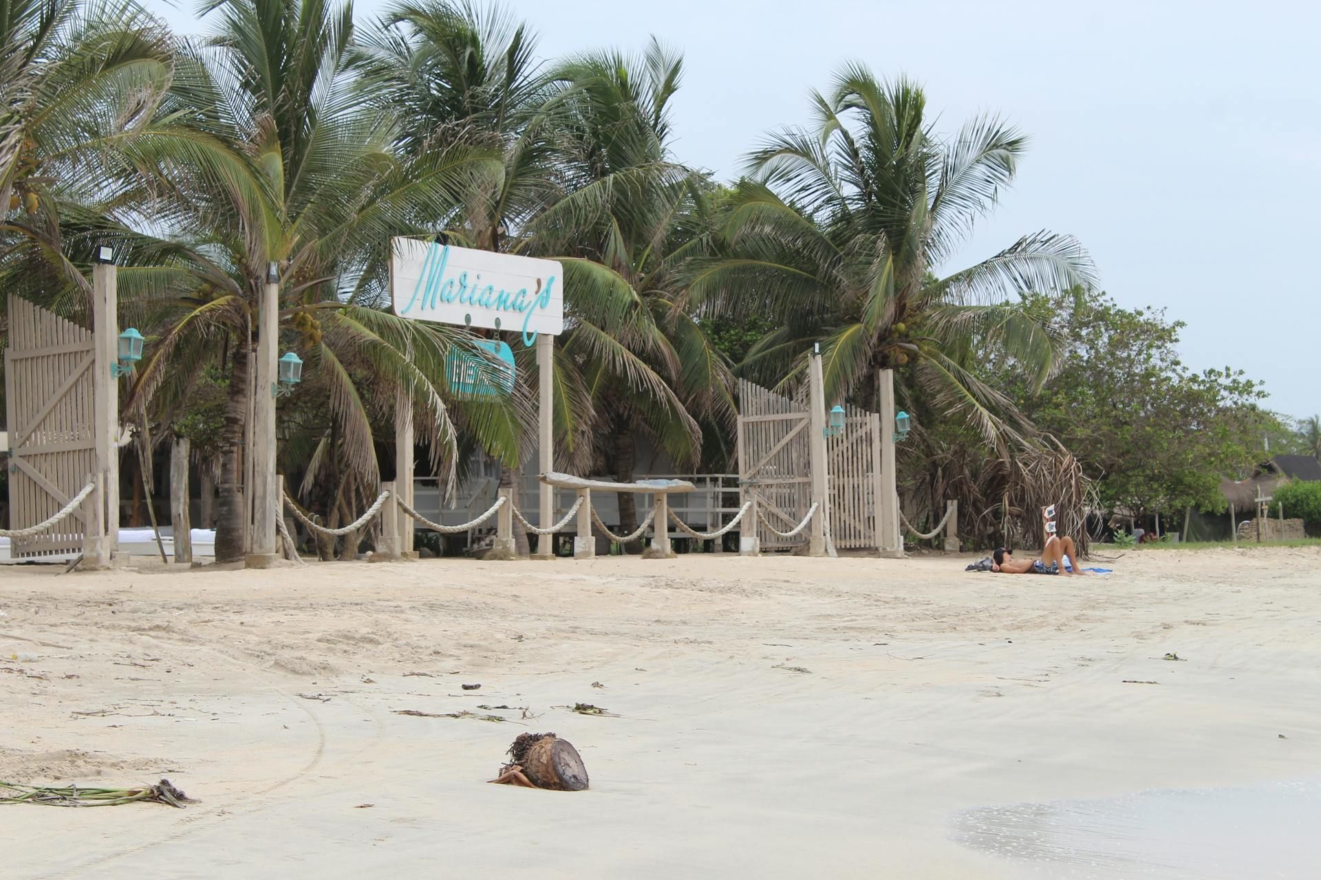 Una tortuga está tumbada en la playa cerca de un cartel que dice bienvenido.
