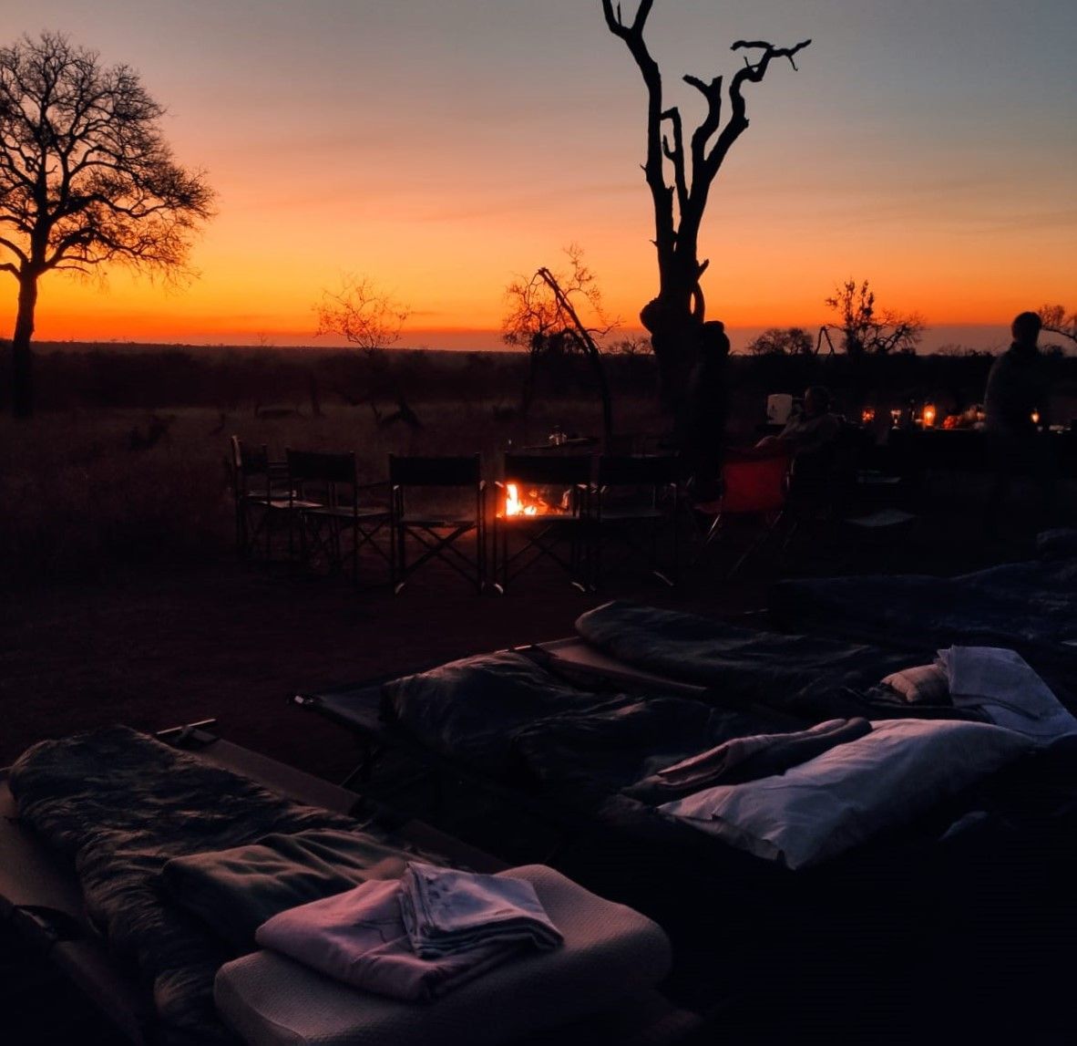 Camping scene at sunset with beds, fire pit, and silhouetted trees.