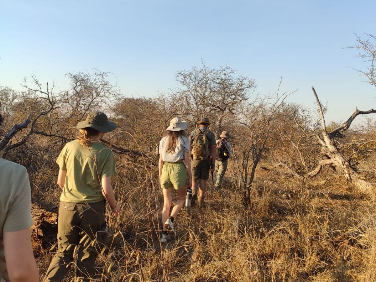 A group of people are walking through a field.