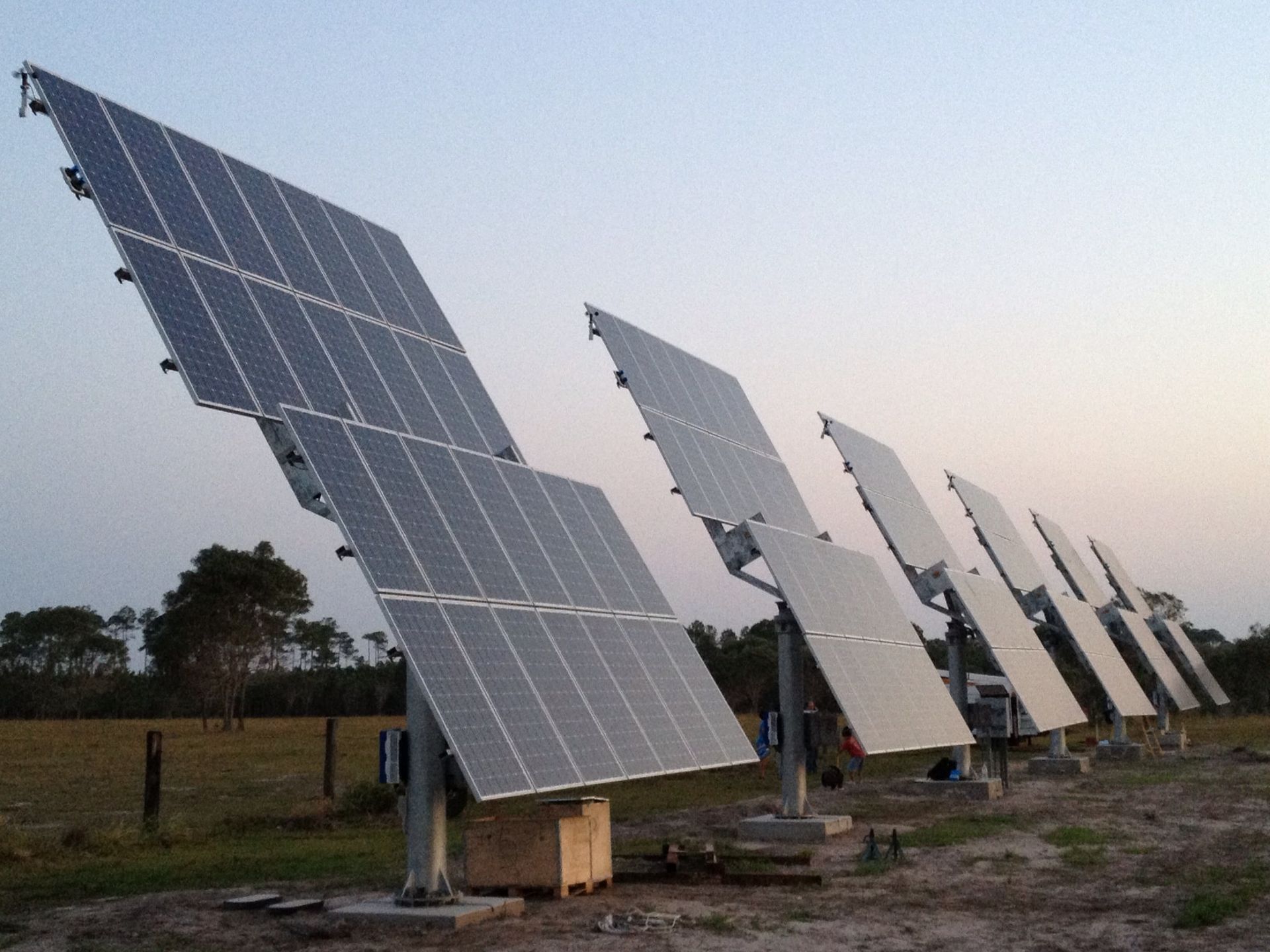 A Row of Solar Panels Are Lined Up in a Field — Advantage Communications & Electrical in Maroochydore, QLD