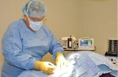 Doctor Doing Operation - Animal and Pet Surgery in Portland OR