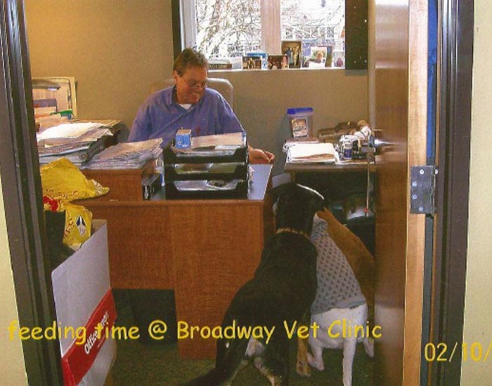 Doctor - Broadway Veterinary Clinic in Portland, OR