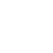 The Eissa Group Logo