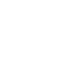 The Eissa Group Logo