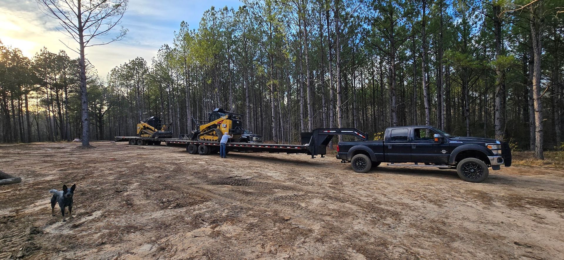 Black truck towing a trailer with two yellow construction vehicles in a wooded area. A dog stands in the foreground.