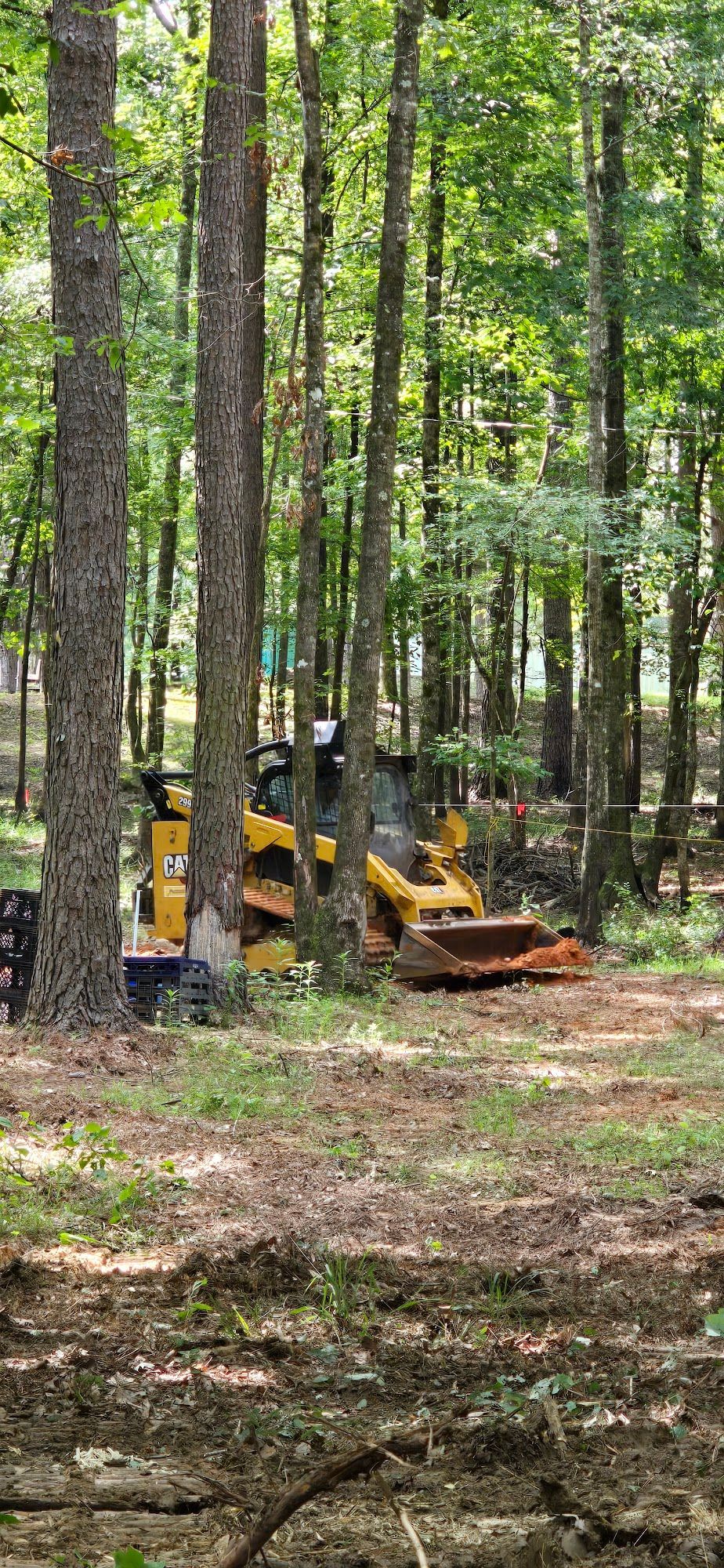 A yellow skid steer loader sits in a wooded area, surrounded by trees and greenery.