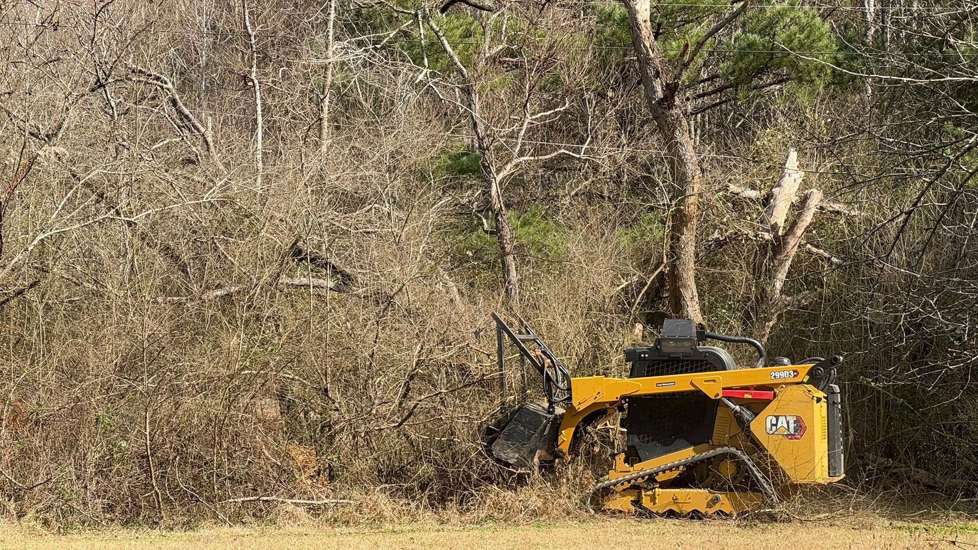 Yellow skid steer clearing brush in a wooded area.