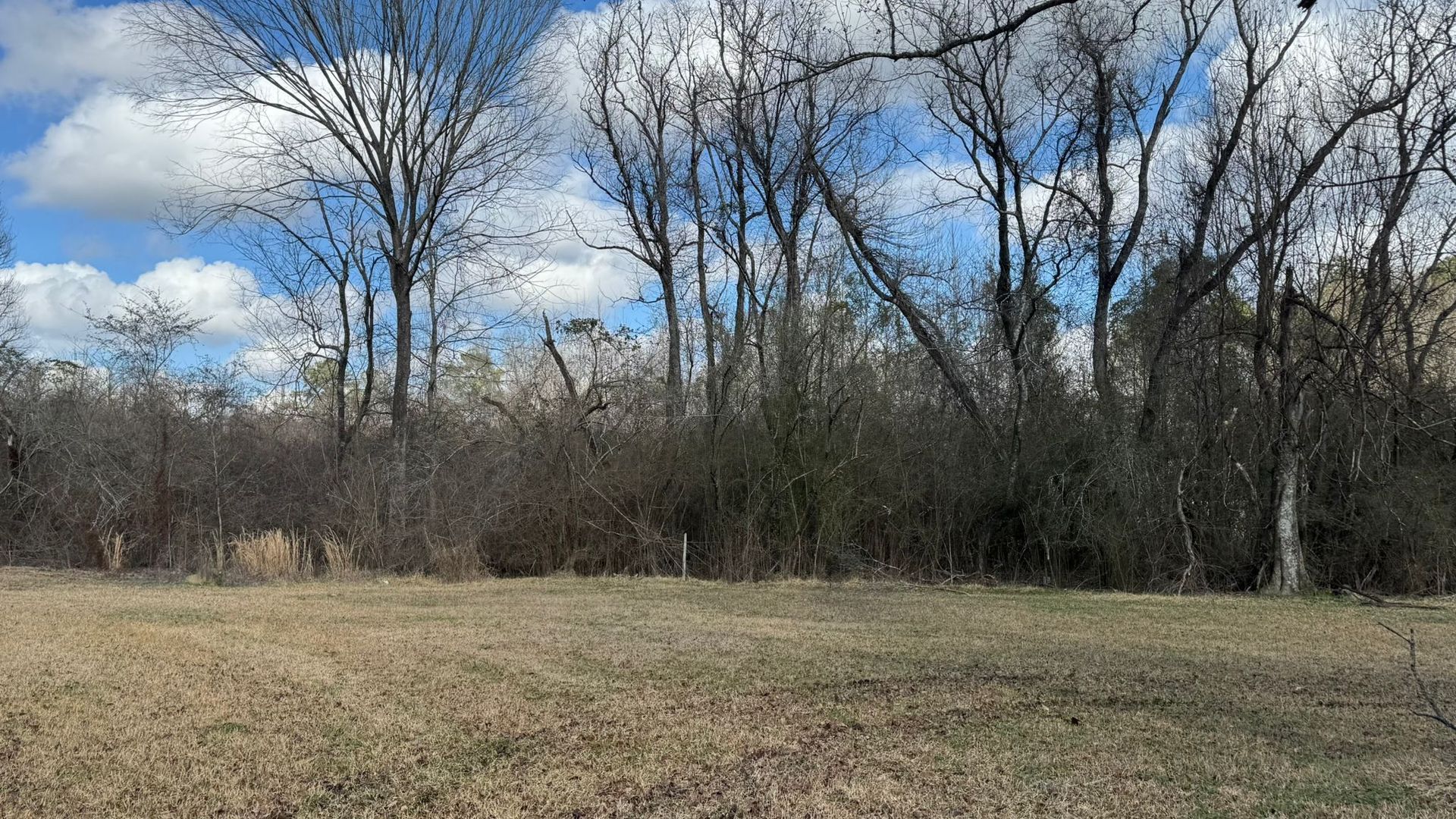 Field of brown grass with treeline against a partly cloudy sky.
