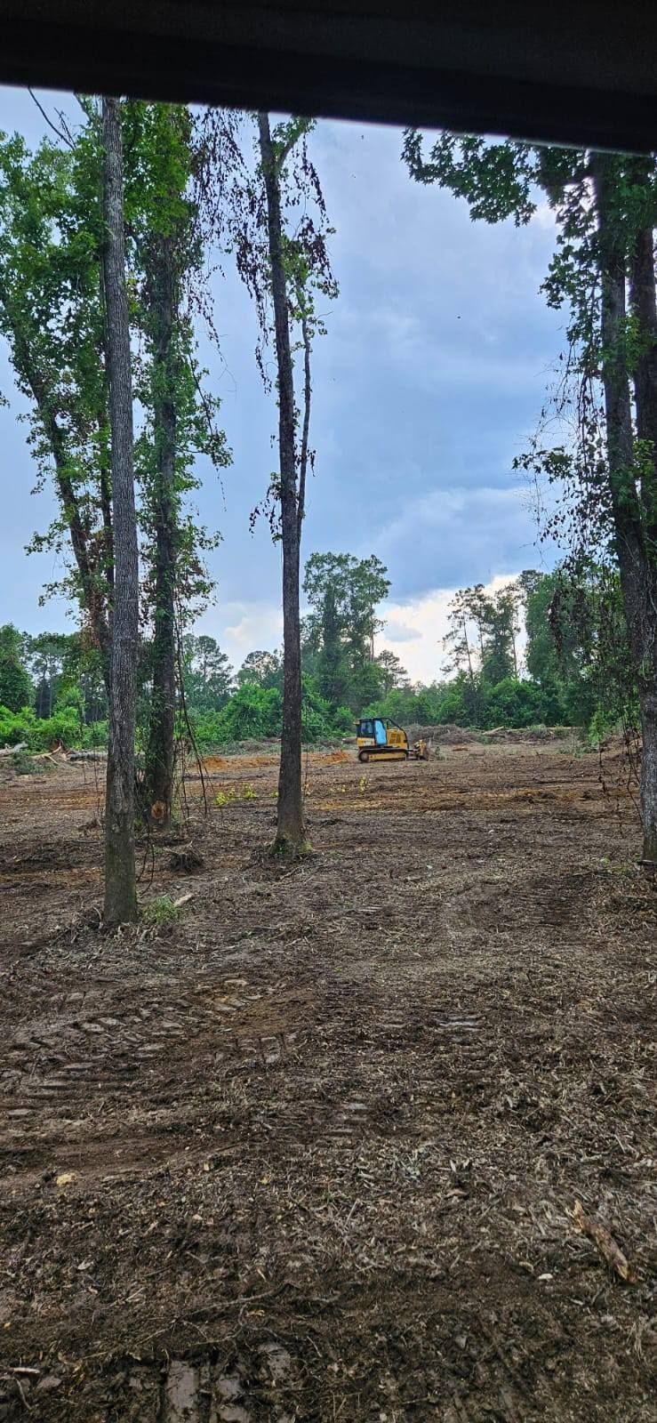 Clearcut land with trees, and a bulldozer. Cloudy sky in the background.