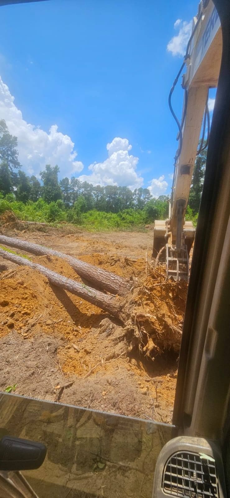 An excavator moving logs on a dirt field with a blue sky and trees in the background.