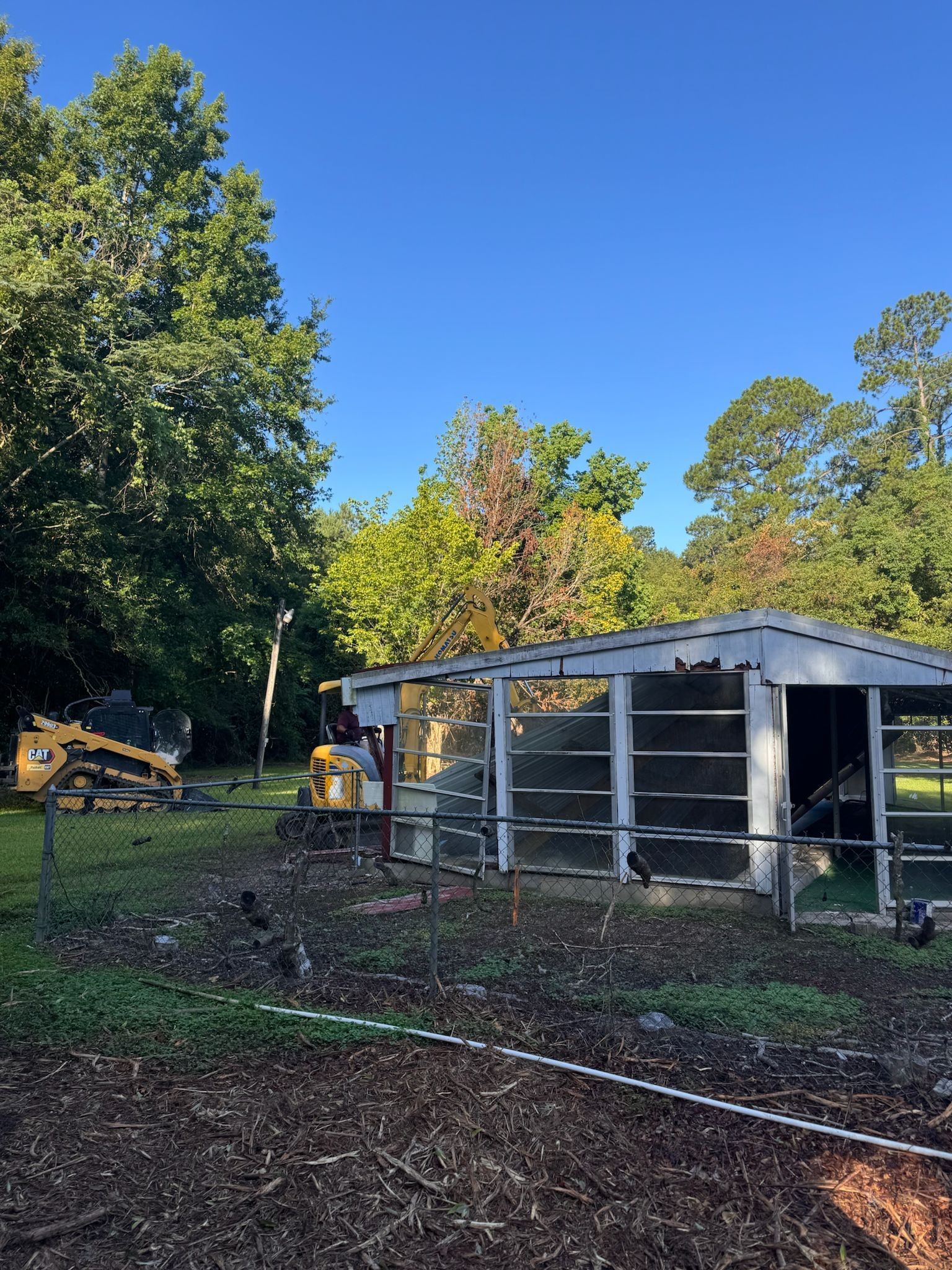Chickens near a coop; trees and a small tractor in the background, under a blue sky.