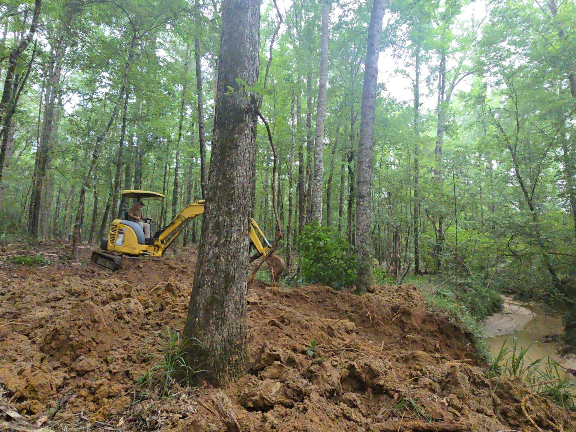 A small yellow excavator digs into a muddy bank next to a stream in a forest.