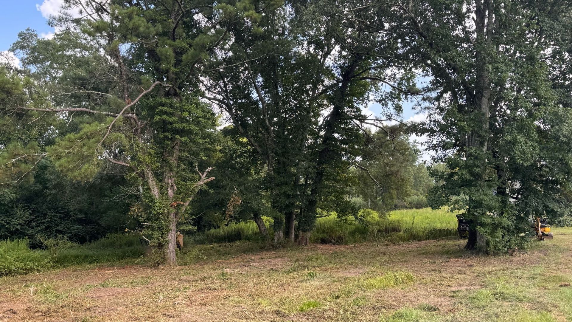 Trees frame a grassy field, under an overcast sky.