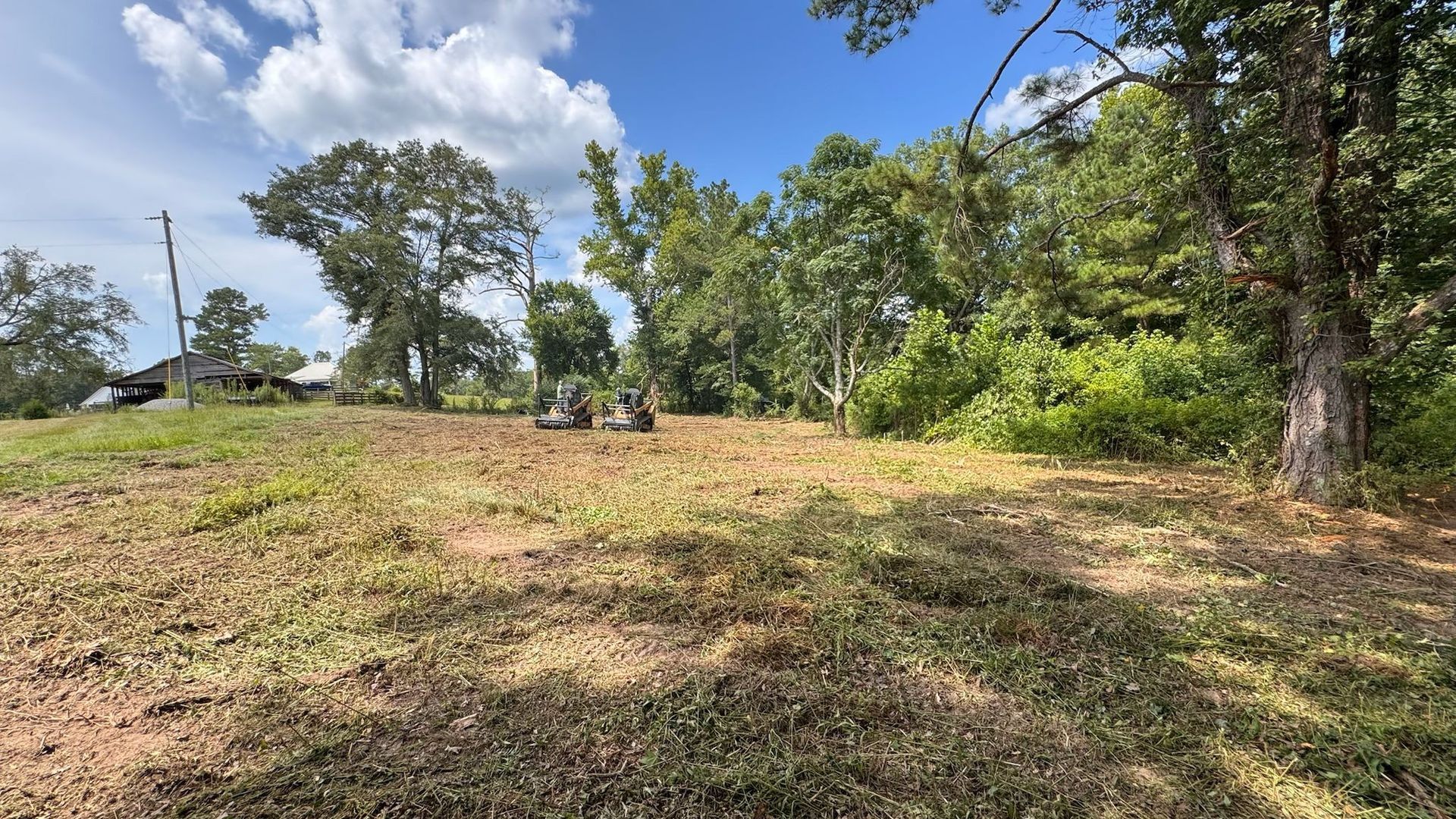 Grassy field with trees and blue sky. A small building is visible in the distance.