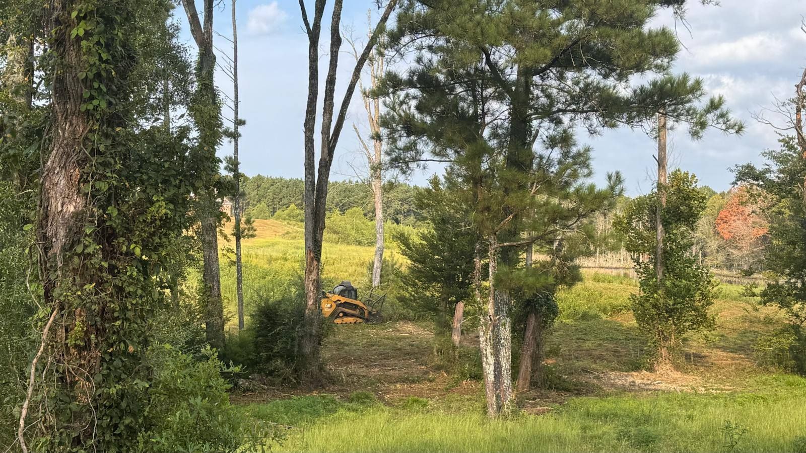 Grassy field with trees in foreground. A small yellow bulldozer is working in the field. Bright sunny day.