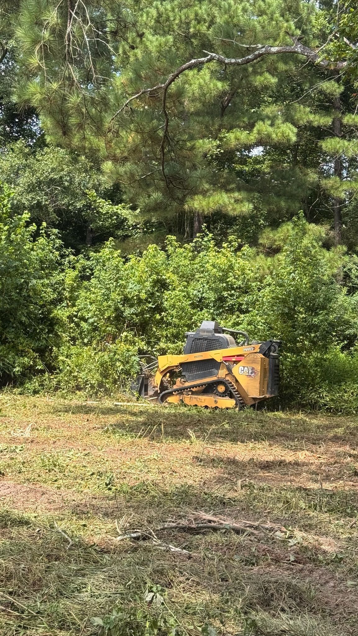 Yellow skid steer clearing brush in a grassy area, trees in the background.
