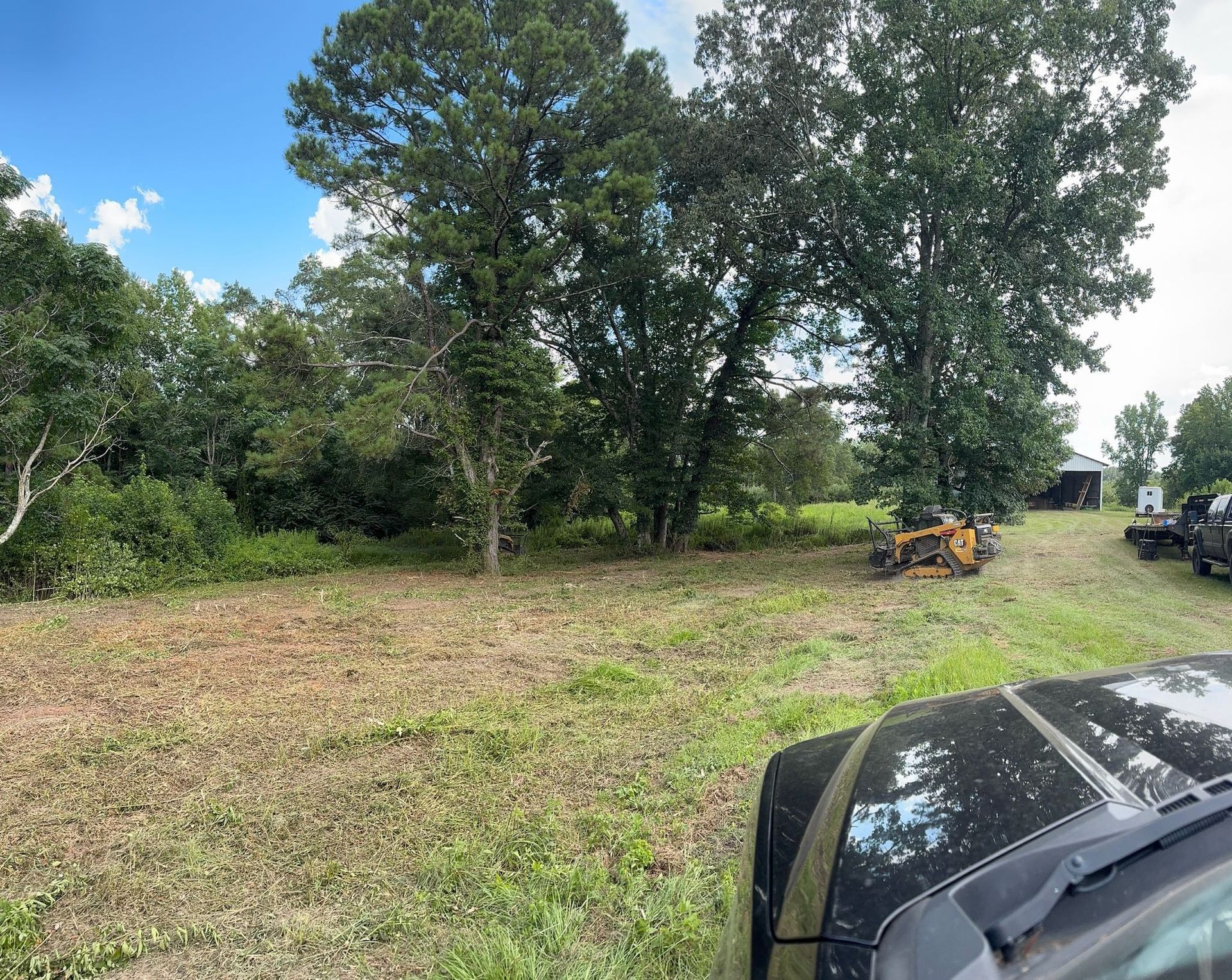 Clearing land with trees in background, small tractor, and a vehicle hood in foreground.