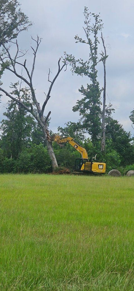 A yellow excavator is cutting down a tree in a grassy field. Overcast sky.